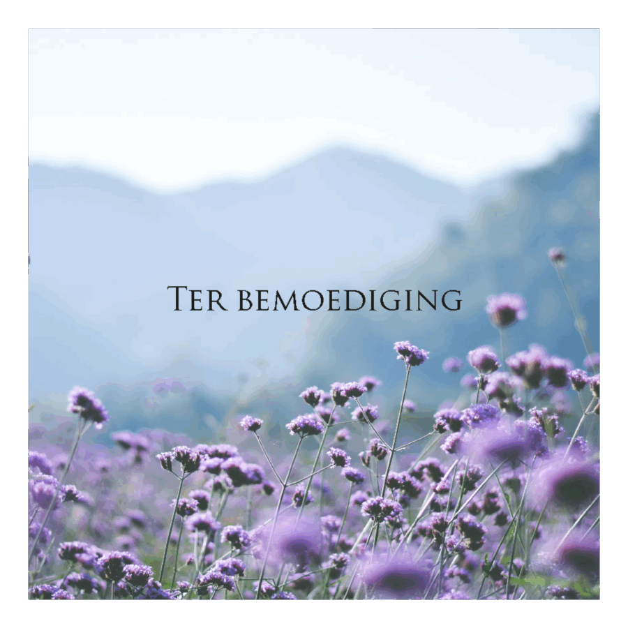 Wenskaart 'Ter bemoediging'