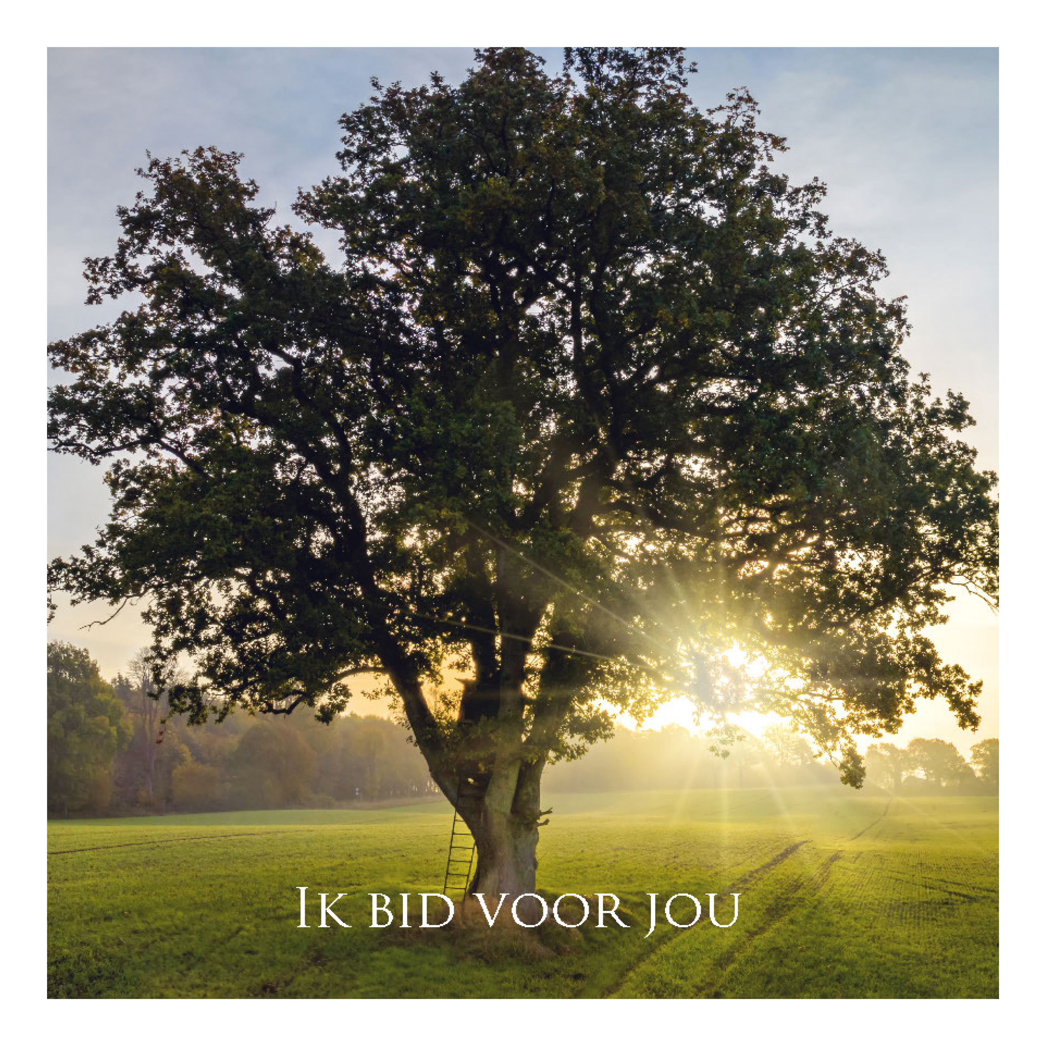 Wenskaart 'Ik bid voor jou'