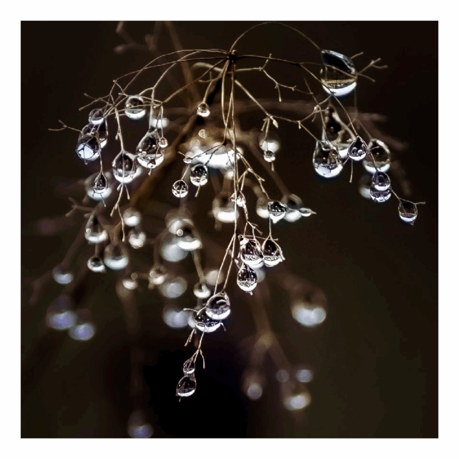 Wenskaart 'Druppels'