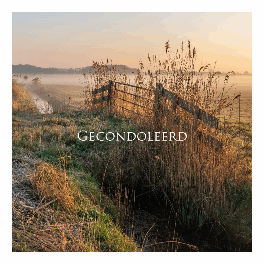 Wenskaart 'Gecondoleerd - hekje'