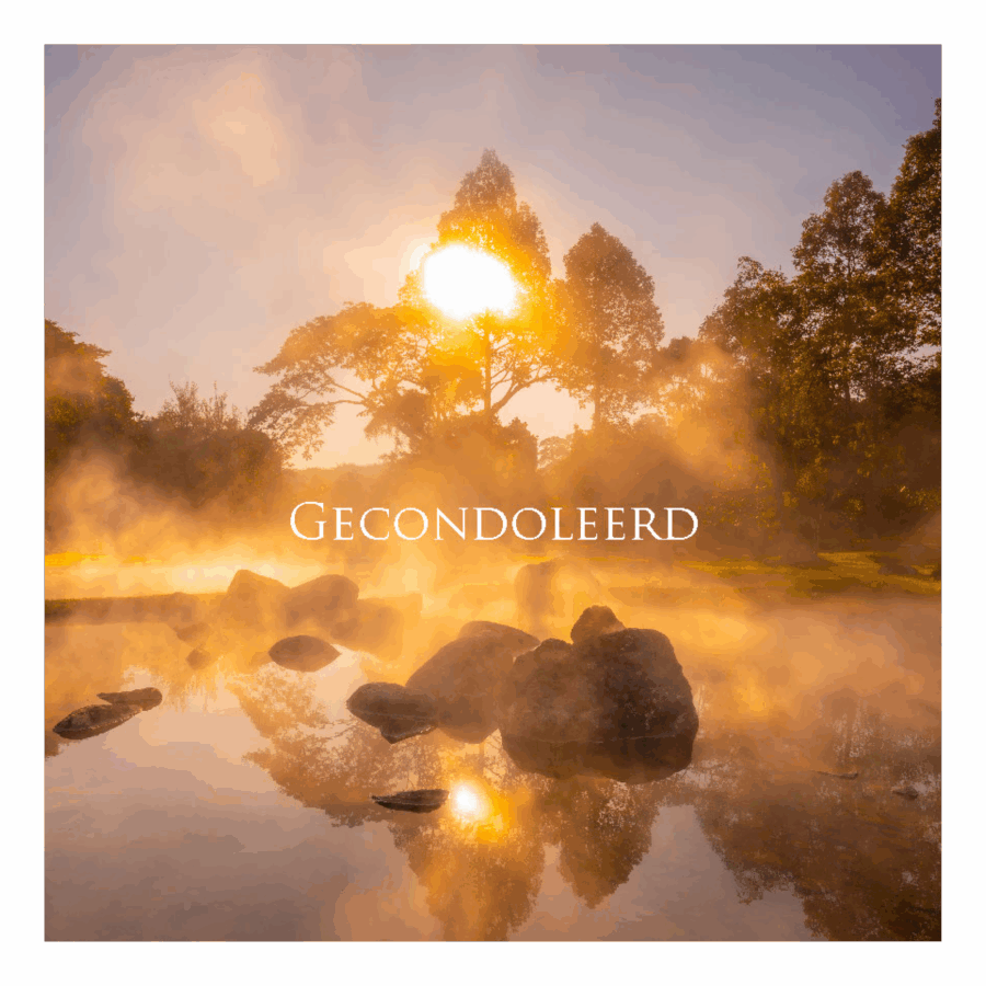 Wenskaart 'Gecondoleerd - zon'