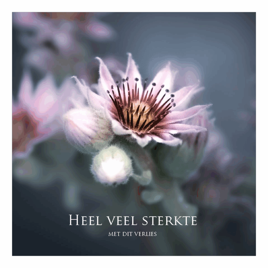 Wenskaart 'Heel veel sterkte met dit verlies'