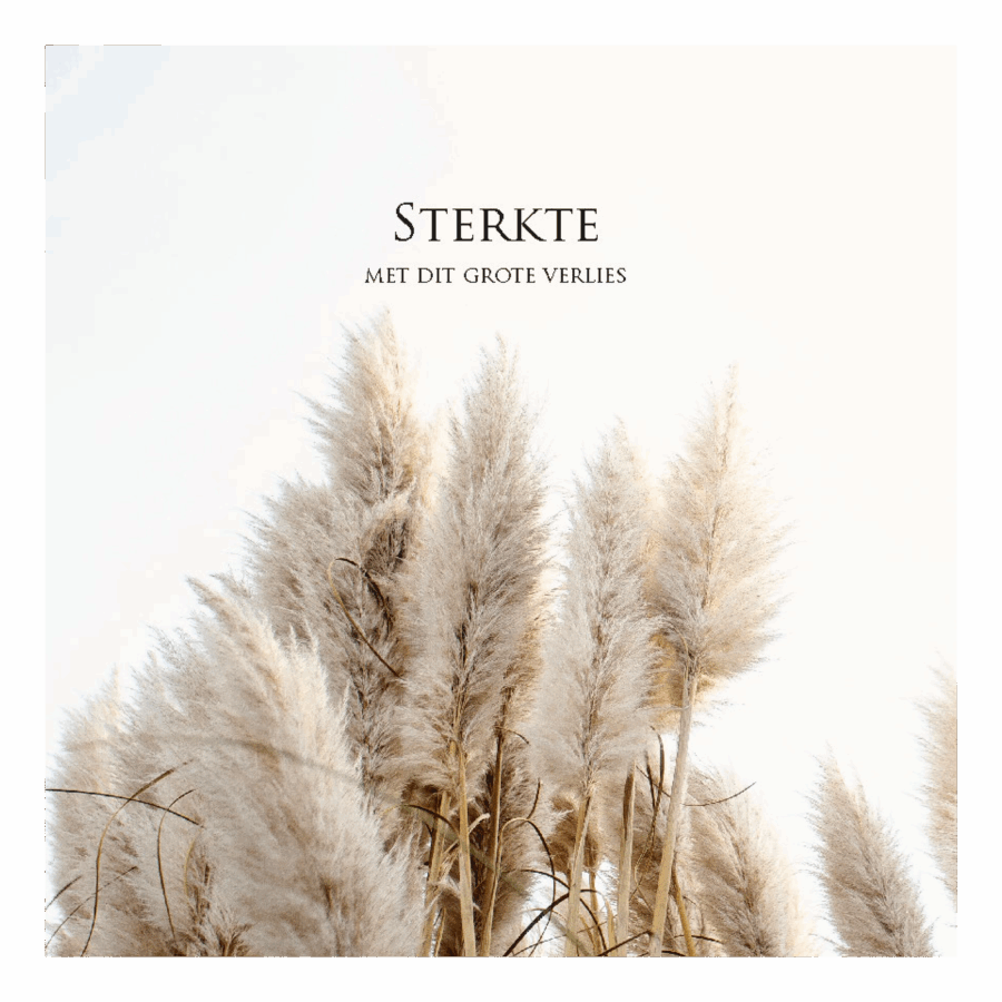 Wenskaart 'Sterkte met dit grote verlies'