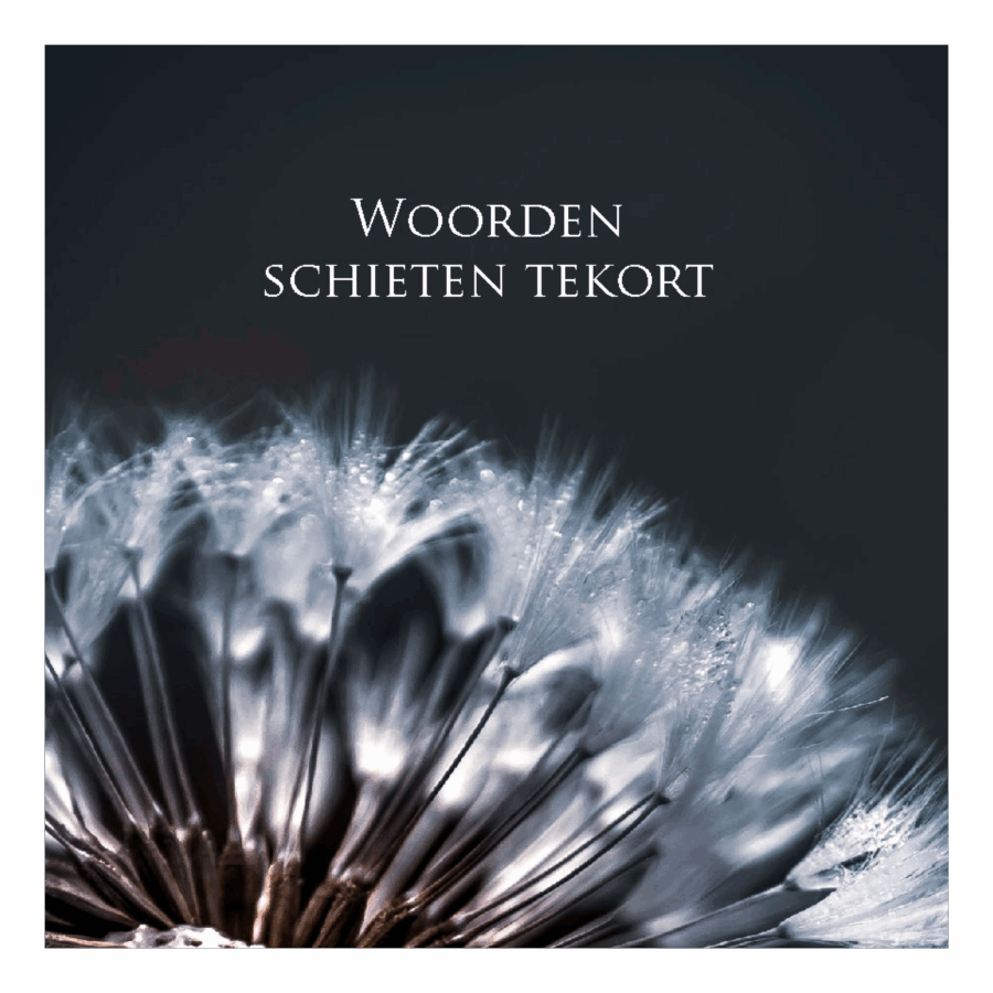 Wenskaart 'Woorden schieten tekort - blaasbloem'