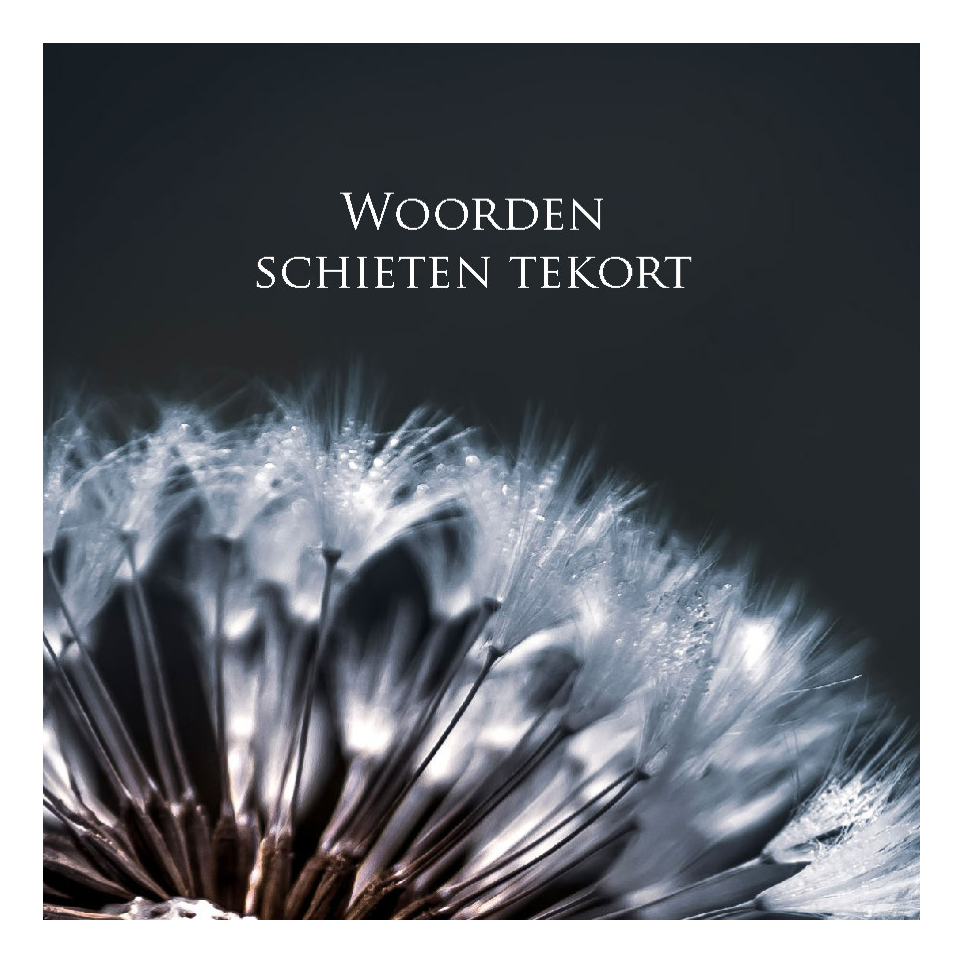 Wenskaart 'Woorden schieten tekort - blaasbloem'