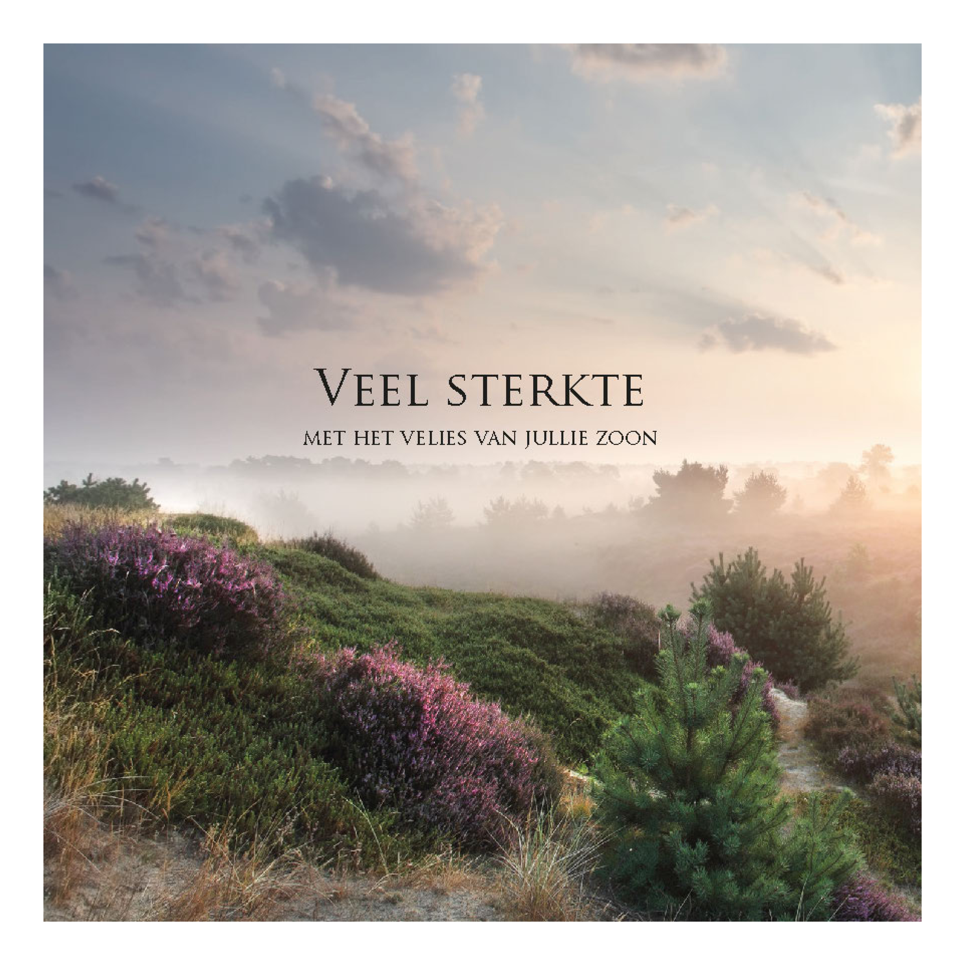 Wenskaart 'Veel sterkte - verlies zoon'