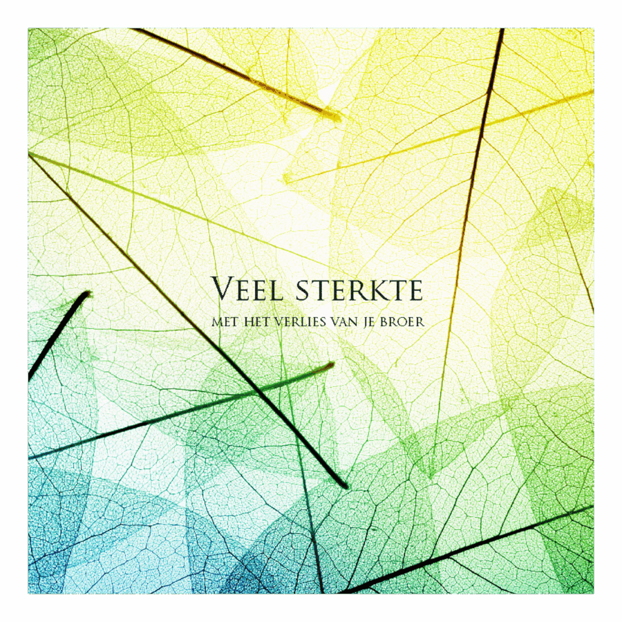 Wenskaart 'Veel sterkte - verlies broer'