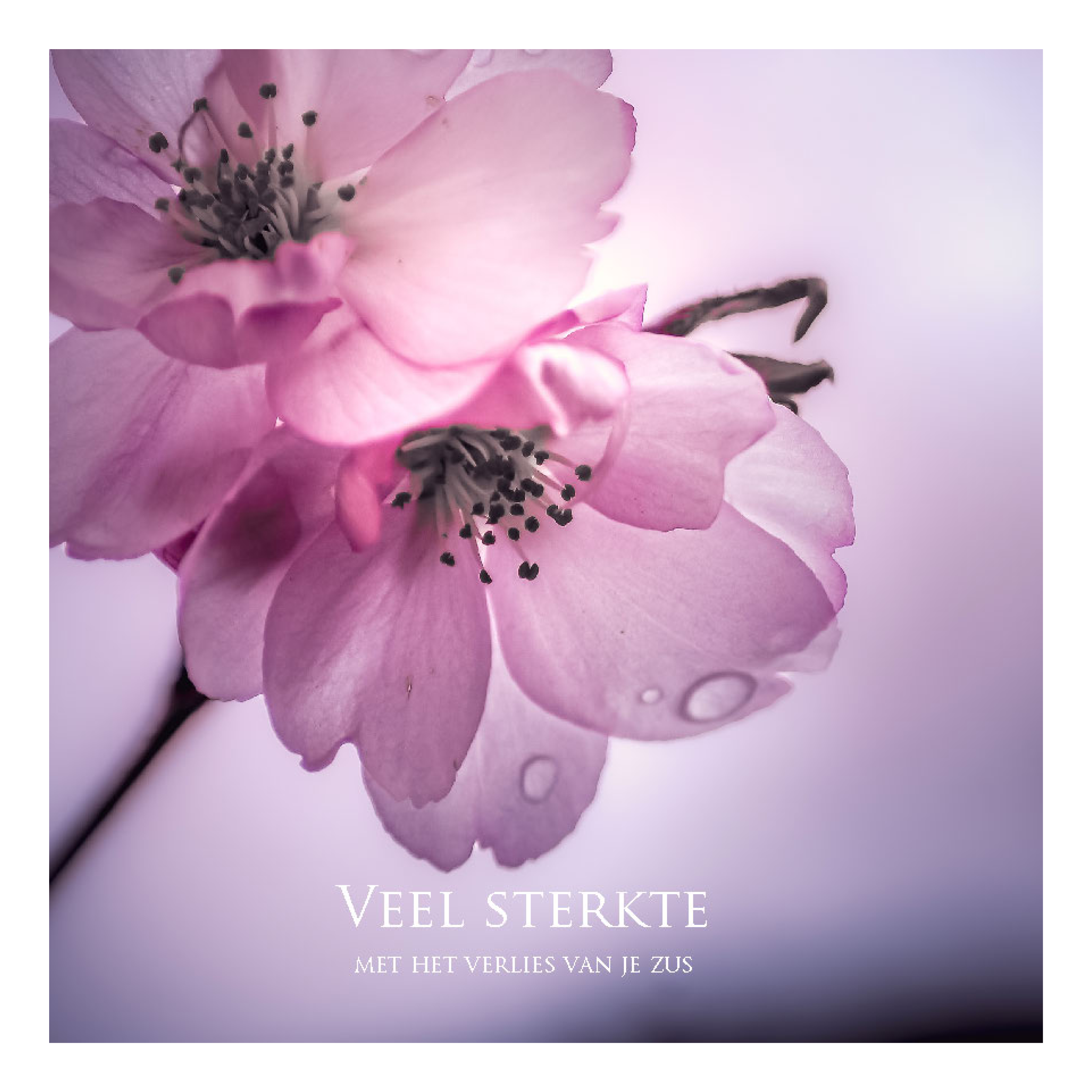 Wenskaart 'Veel sterkte - verlies zus'