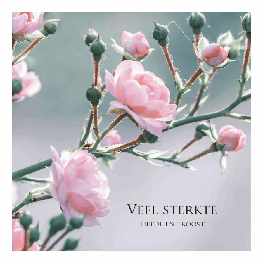 Wenskaart 'Veel sterkte, liefde en troost'