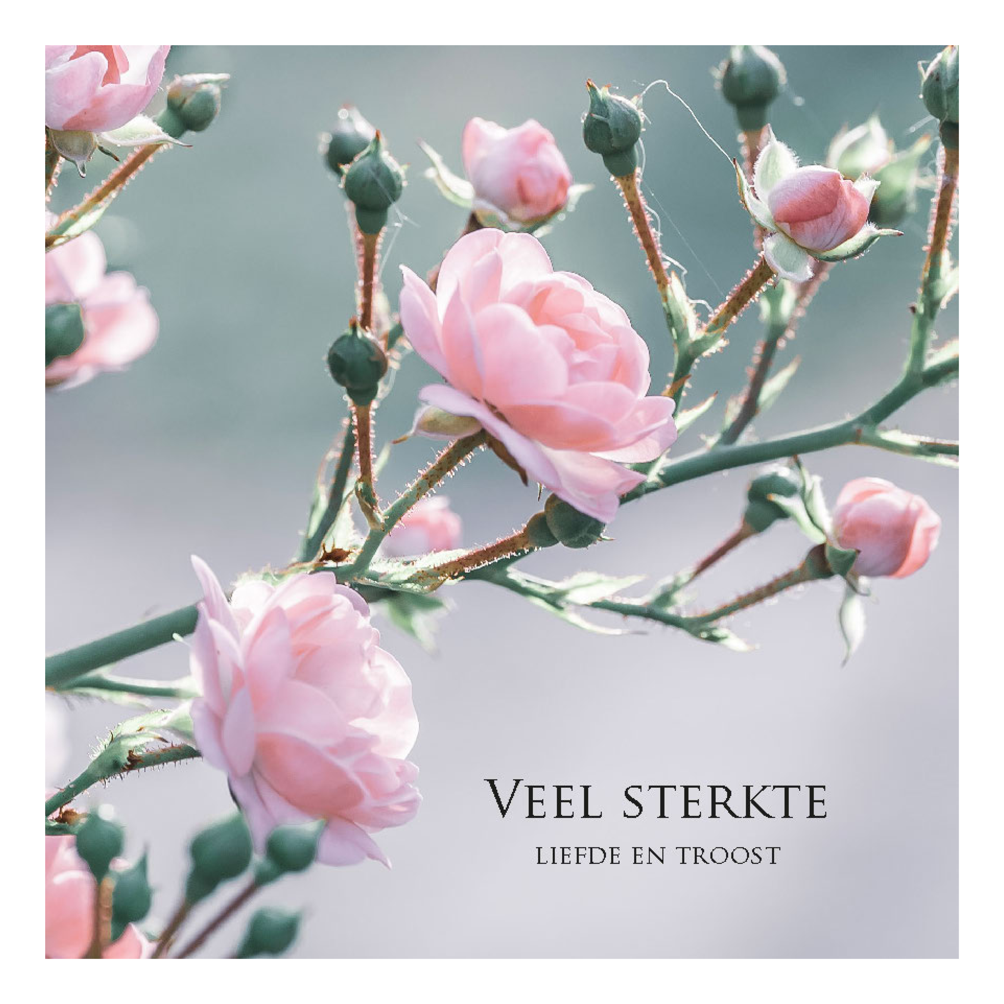 Wenskaart 'Veel sterkte, liefde en troost'