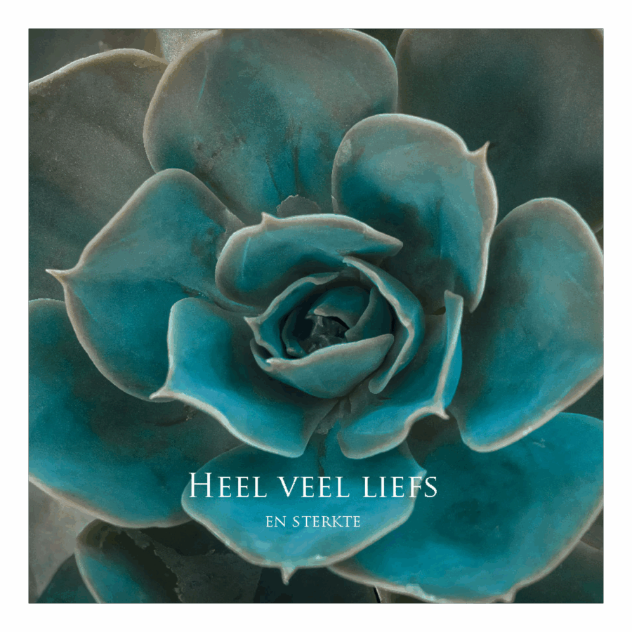 Wenskaart 'Heel veel liefs en sterkte'