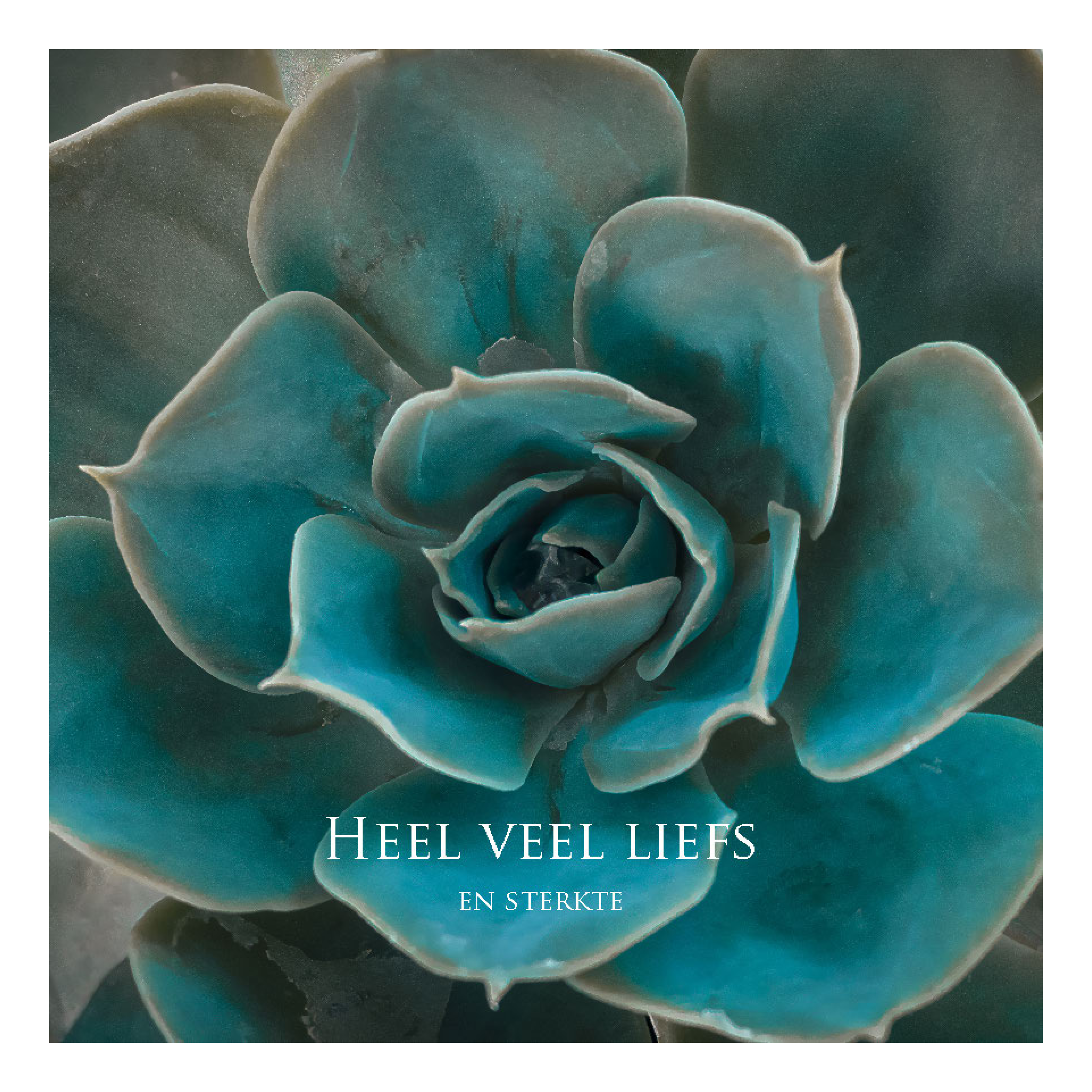 Wenskaart 'Heel veel liefs en sterkte'