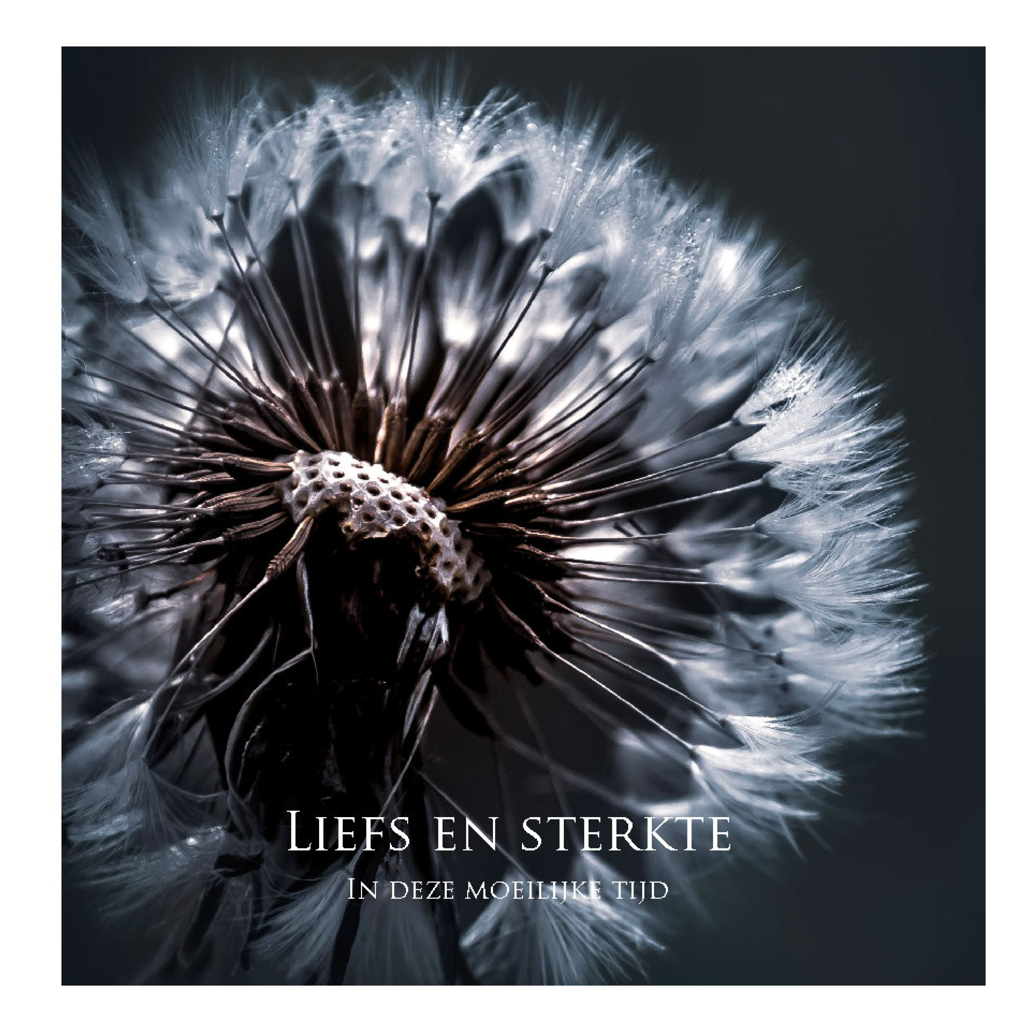 Wenskaart 'Liefs en sterkte'