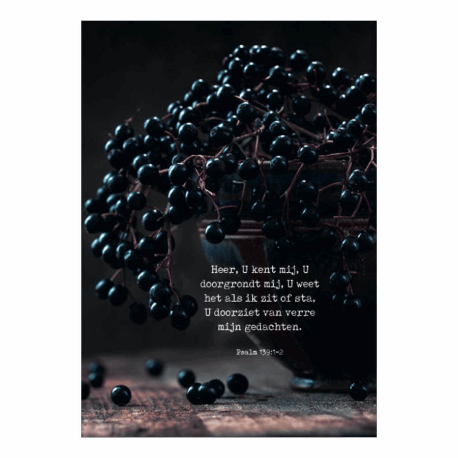 Poster A4 'Heer, U kent mij'