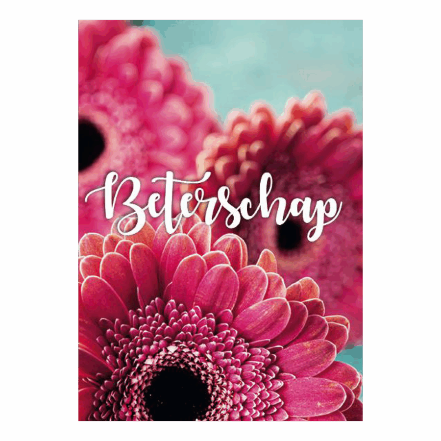 Voordeelkaart 'Beterschap - rose bloemen'