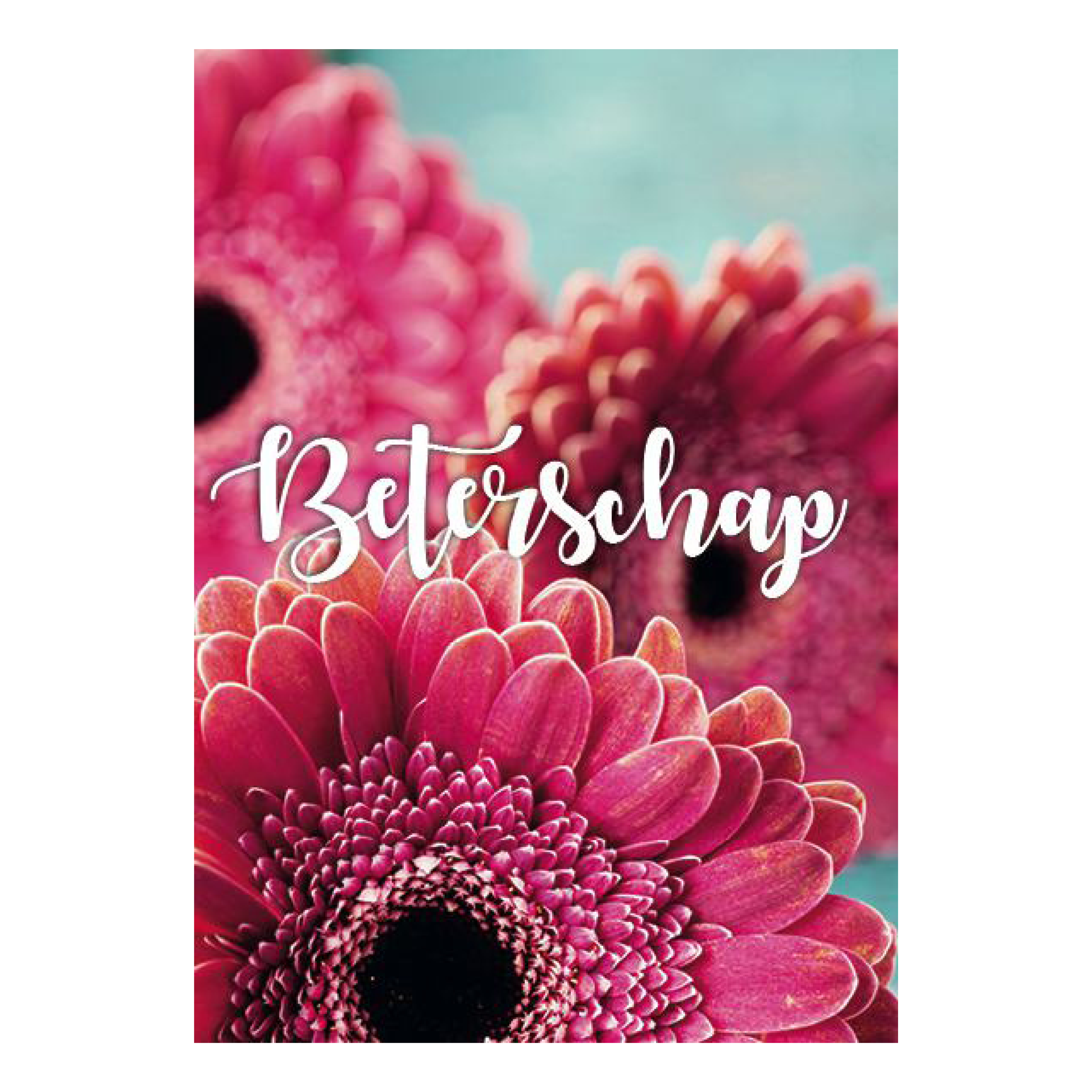 Voordeelkaart 'Beterschap - rose bloemen'