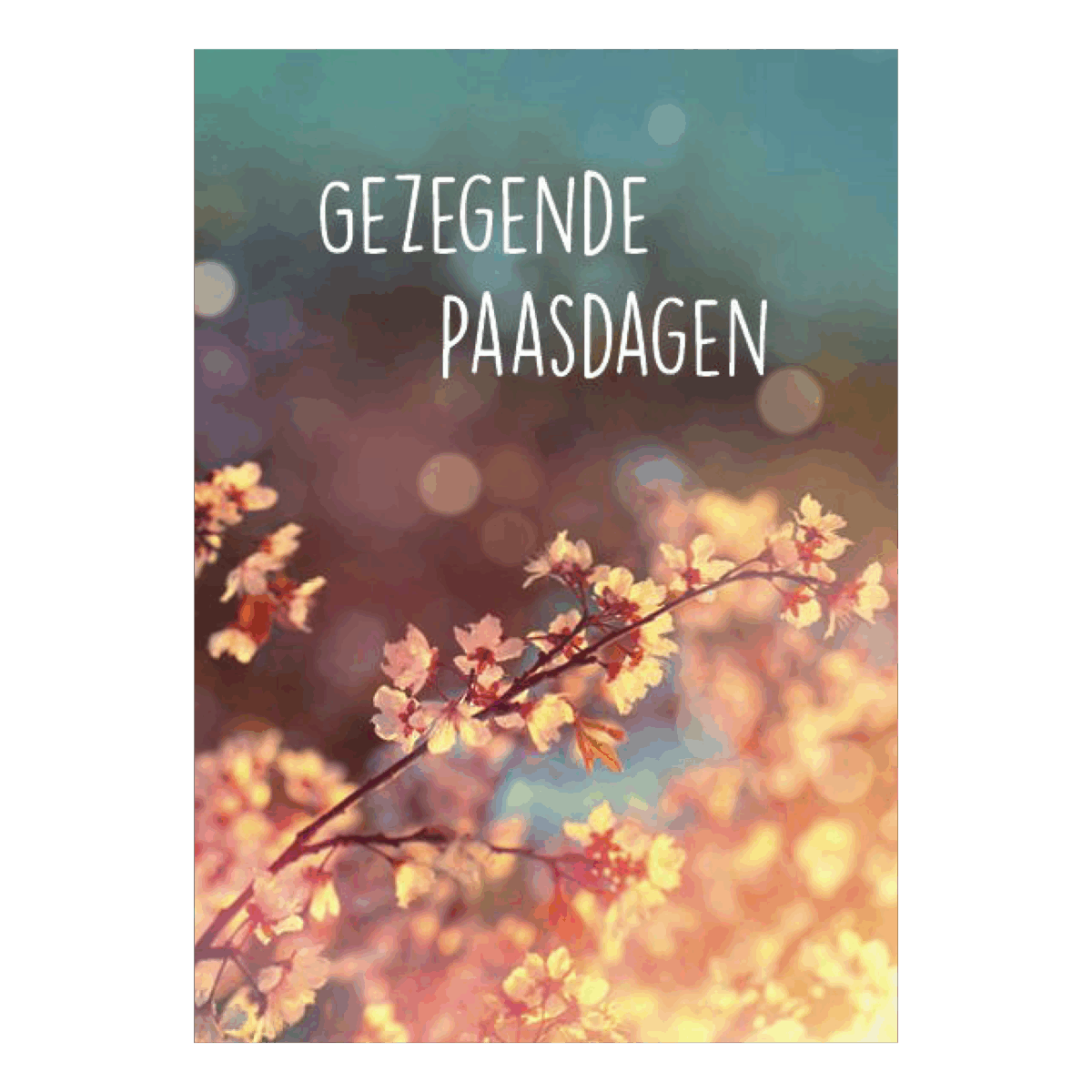 Voordeelkaart 'Gezegende paasdagen - bloesem'