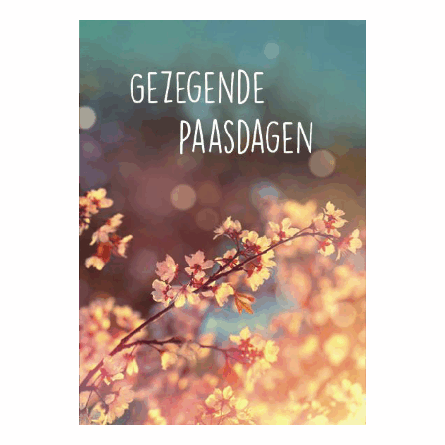 Voordeelkaart 'Gezegende paasdagen - bloesem'