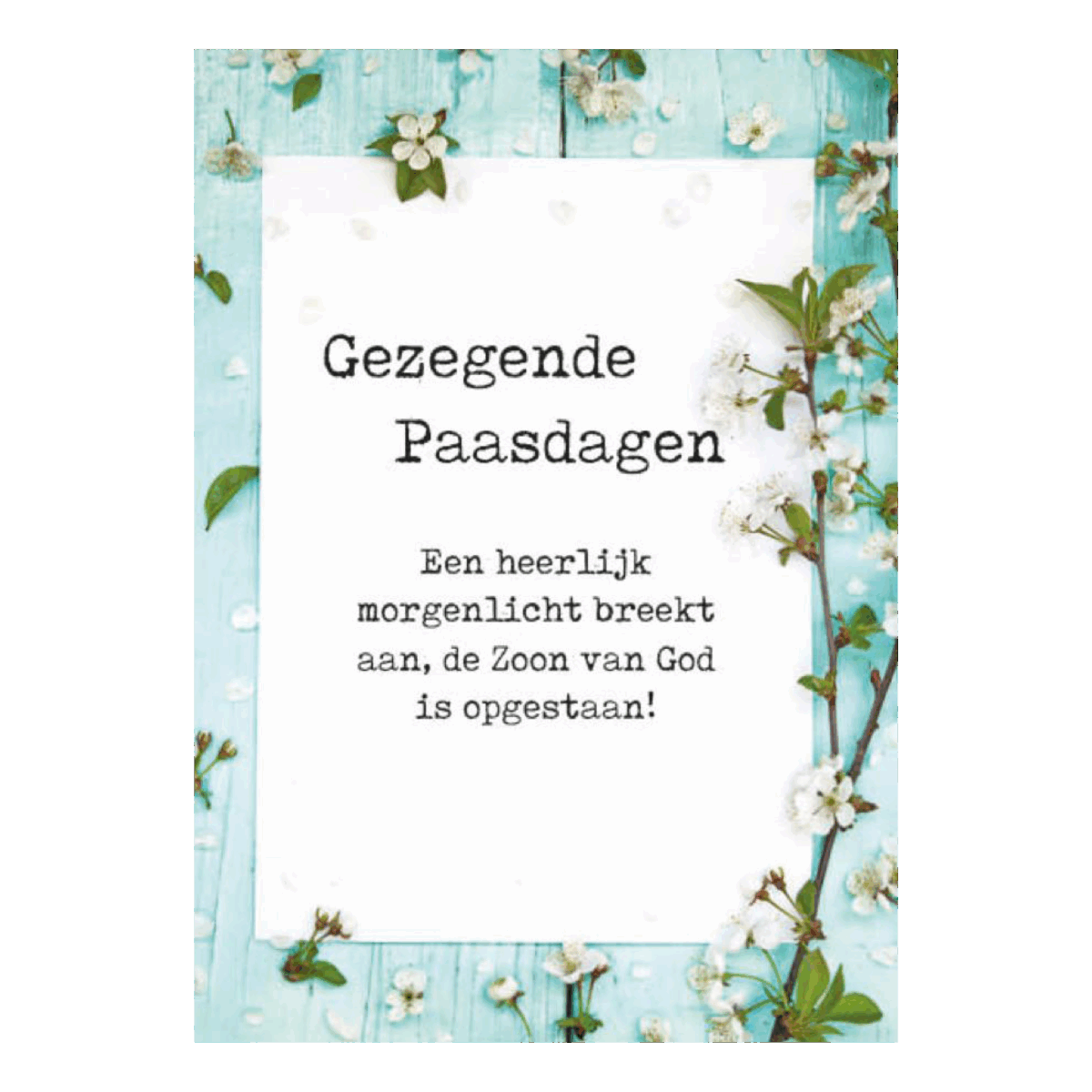 Voordeelkaart 'Gezegende paasdagen - morgenlicht'