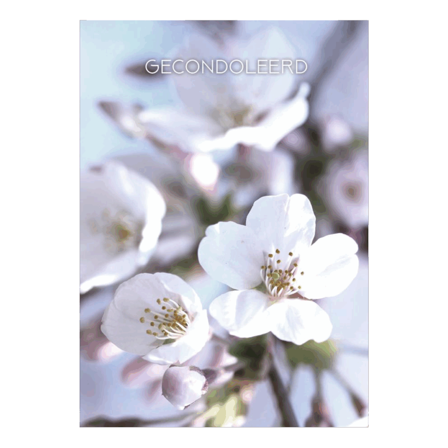 Voordeelkaart 'Gecondoleerd''