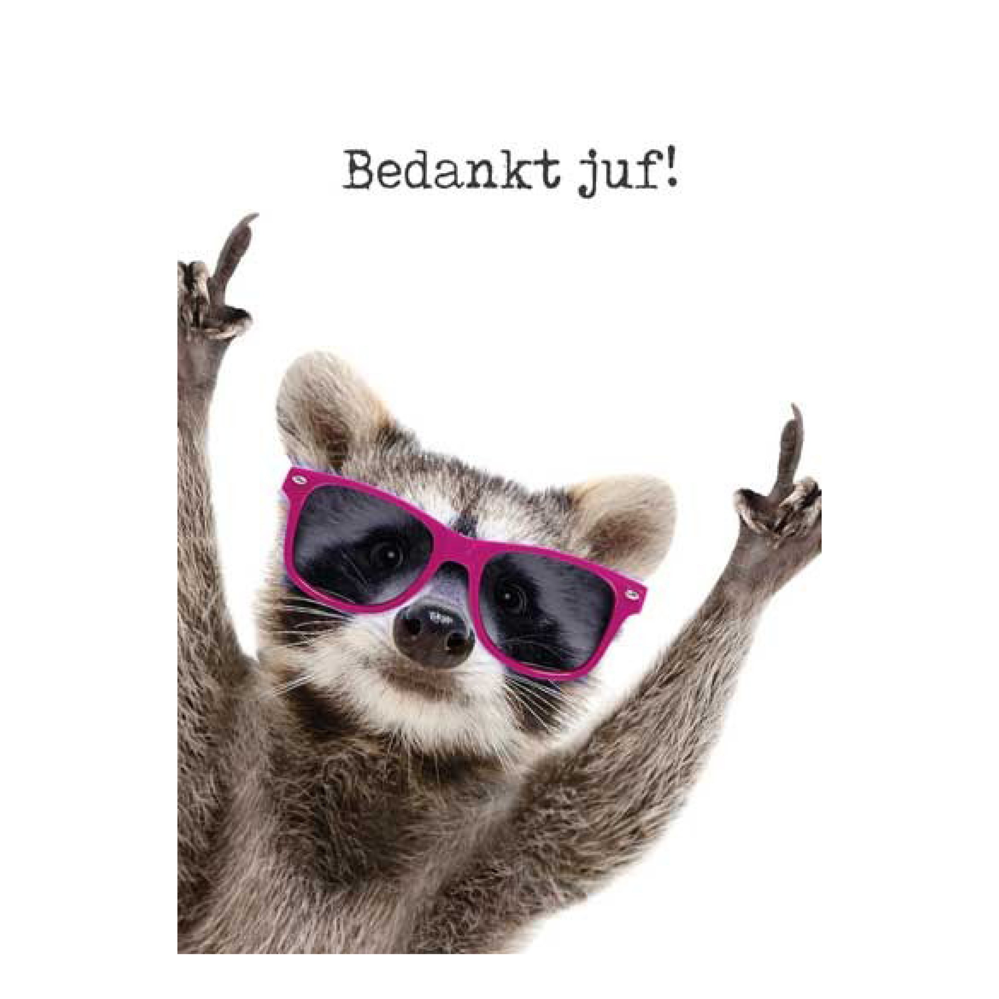 Voordeelkaart 'Bedankt juf - wasbeer'