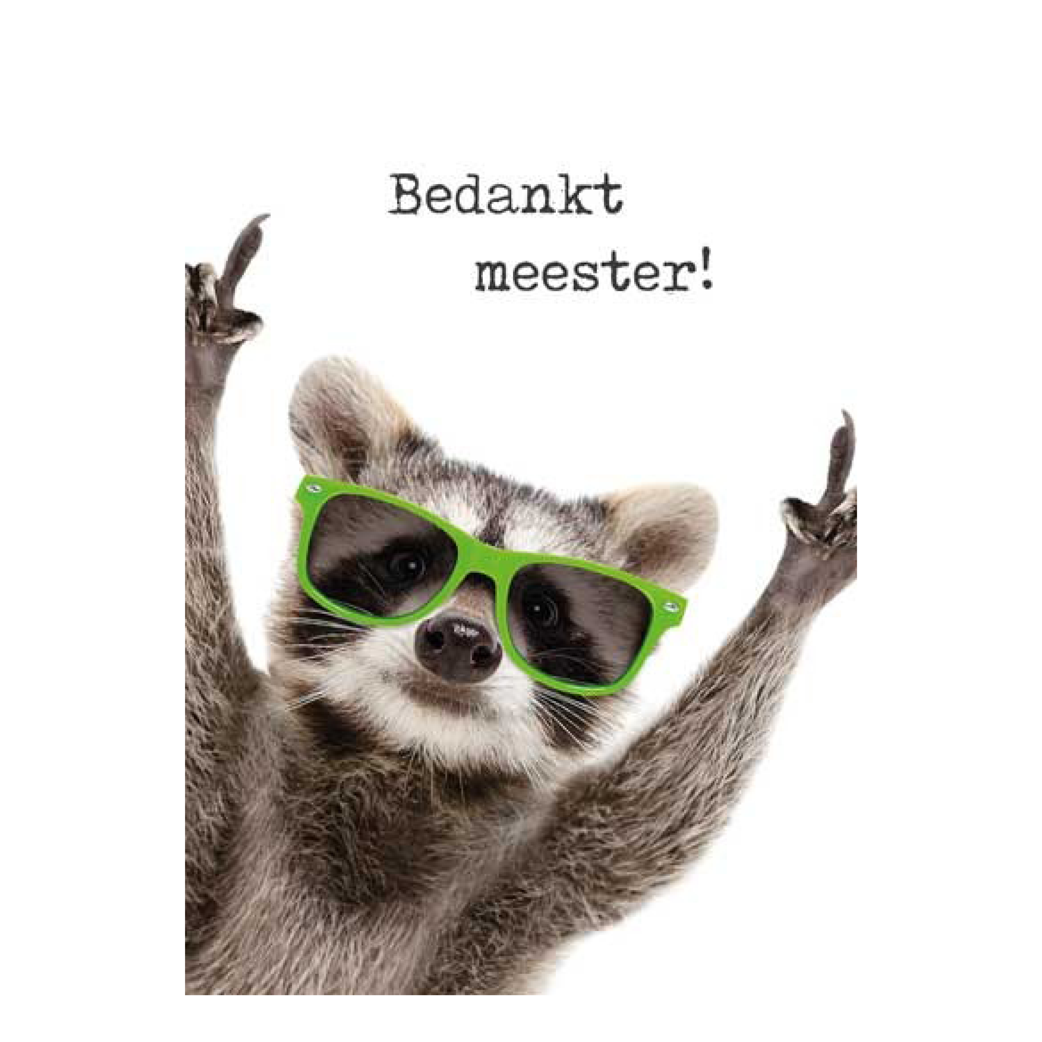 Voordeelkaart 'Bedankt meester - wasbeer'