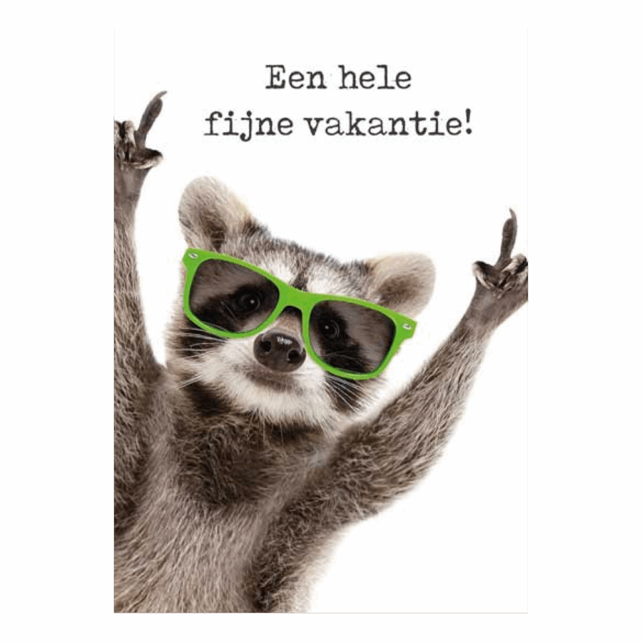 Voordeelkaart 'Fijne vakantie - wasbeer'