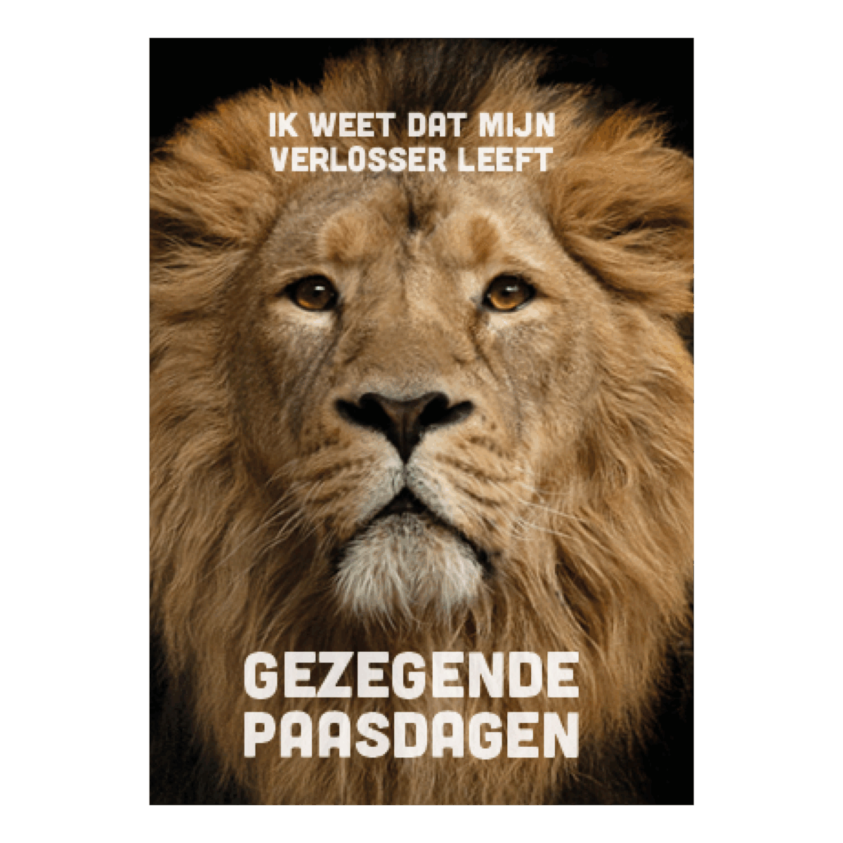 Voordeelkaart 'Gezegende paasdagen - Leeuw'