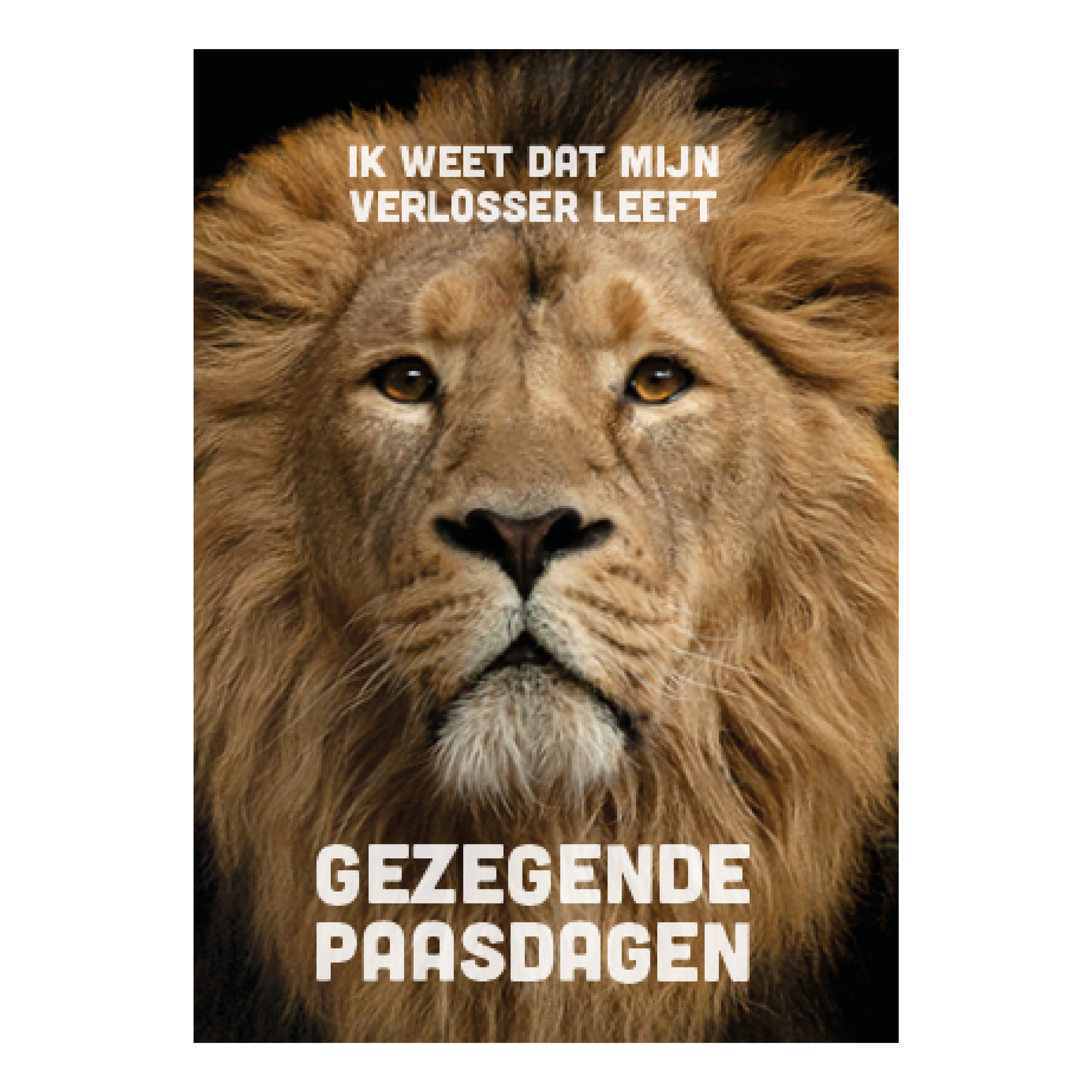 Voordeelkaart 'Gezegende paasdagen - Leeuw'
