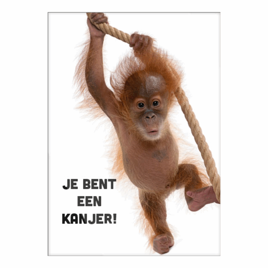Voordeelkaart 'Je bent een kanjer - aapje'