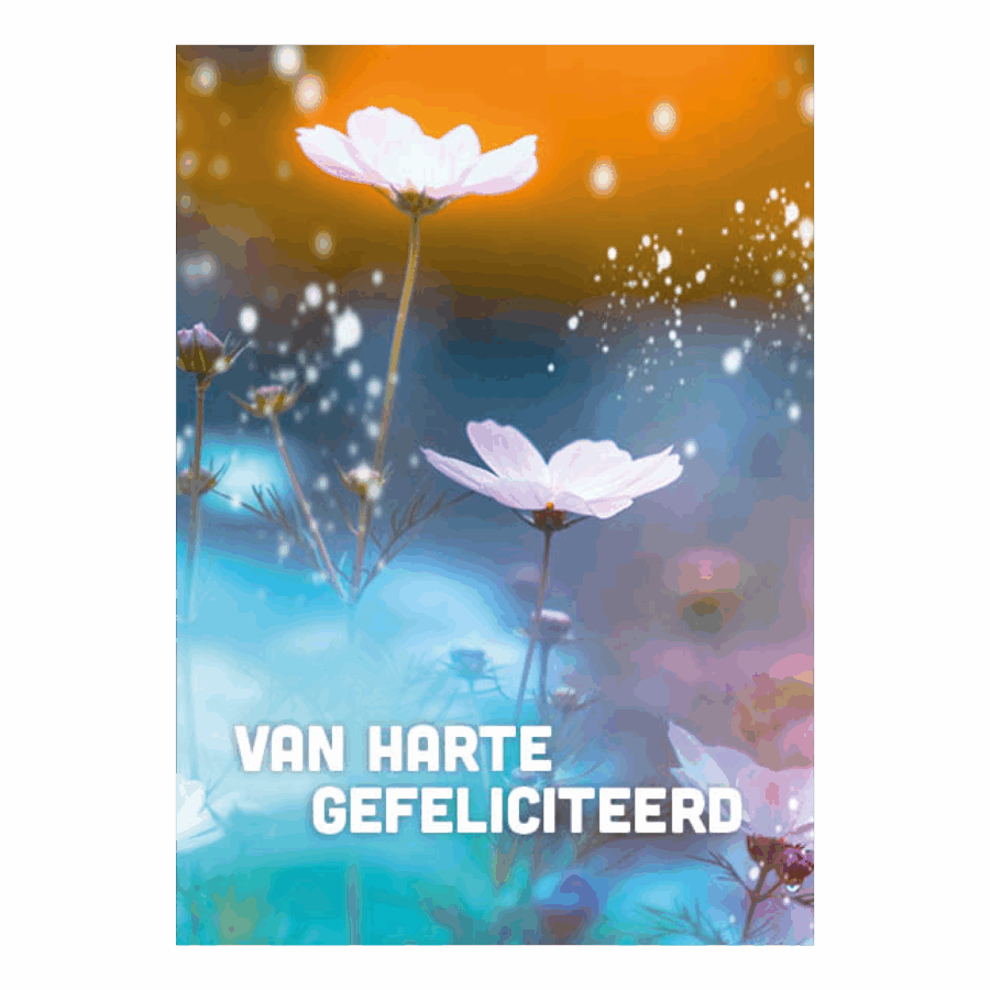 Voordeelkaart 'Van harte gefeliciteerd - bloemen'