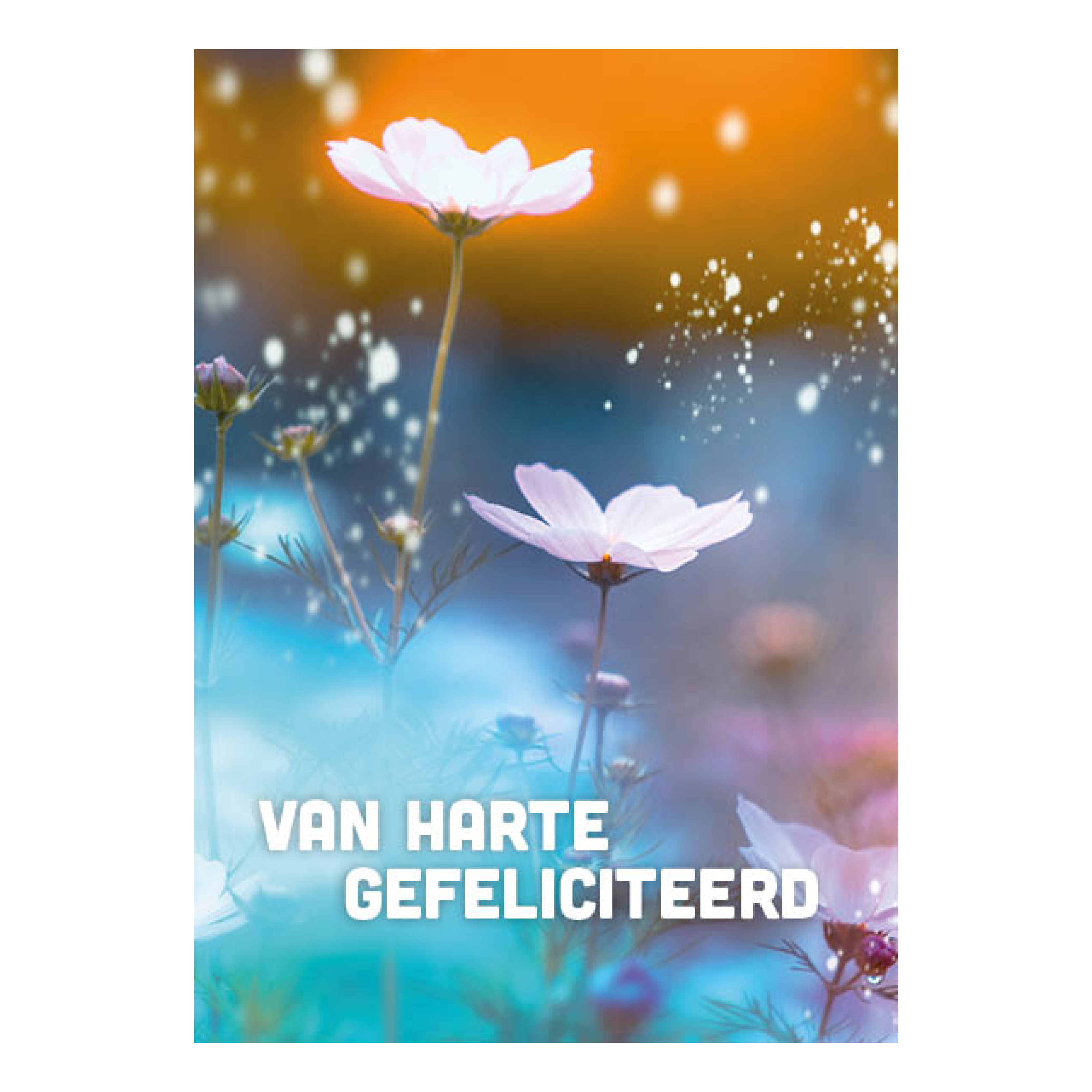 Voordeelkaart 'Van harte gefeliciteerd - bloemen'