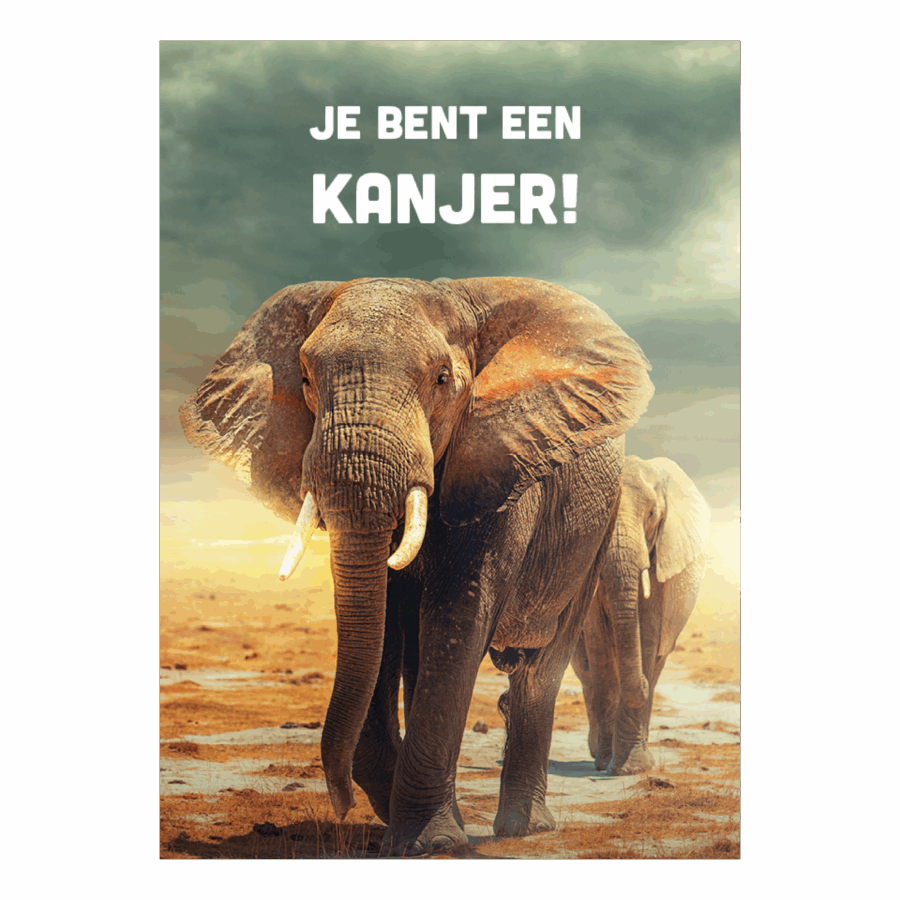 Voordeelkaart 'Kanjer - olifant'