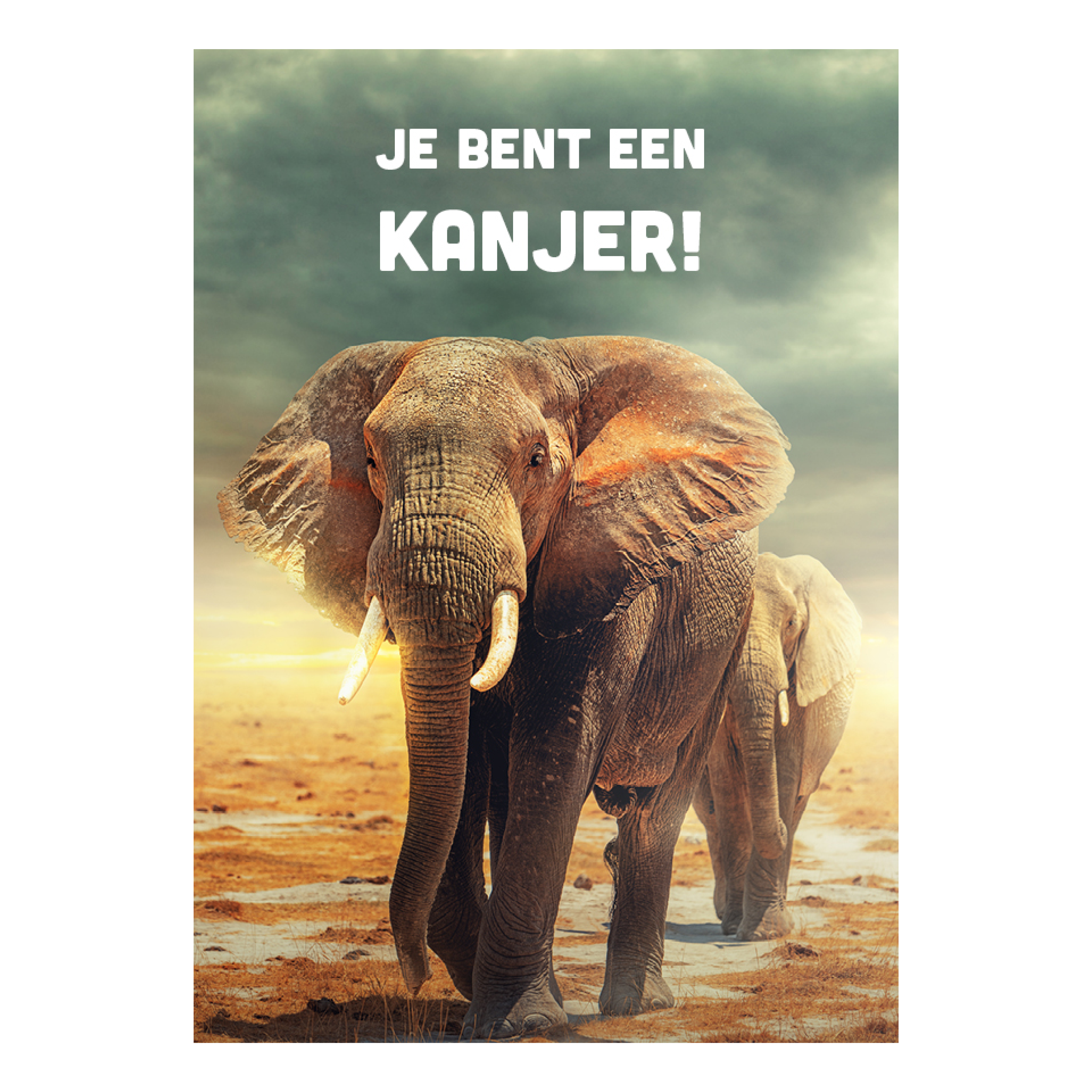 Voordeelkaart 'Kanjer - olifant'