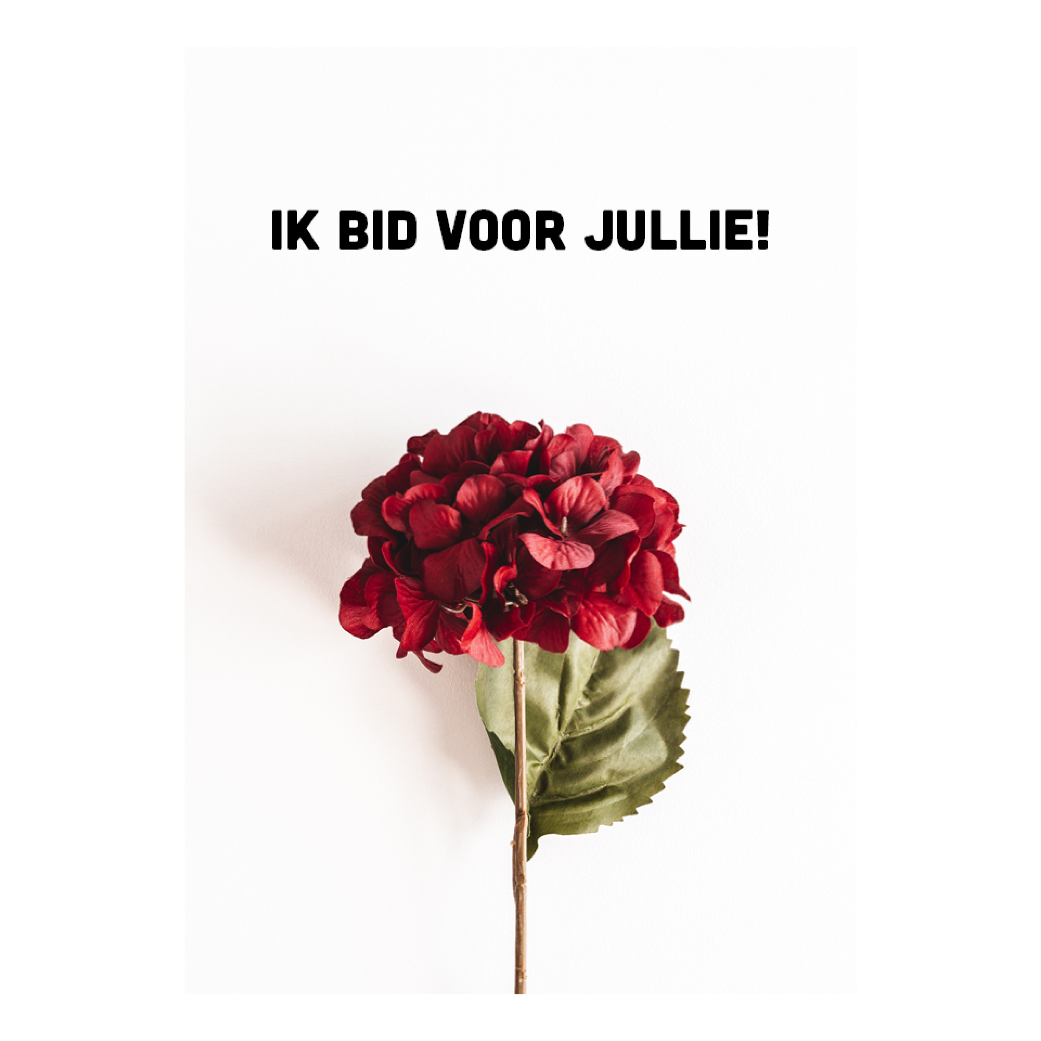 Voordeelkaart 'Ik bid voor jullie - hortensia'
