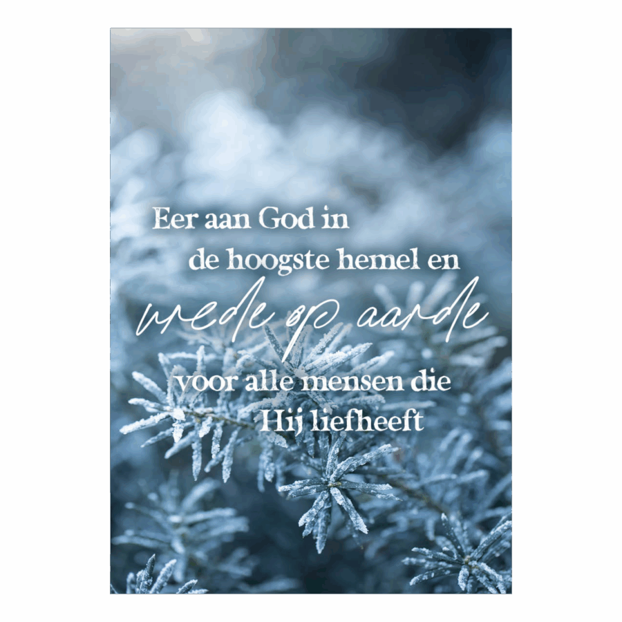 Kerstkaart 'Eer aan God'