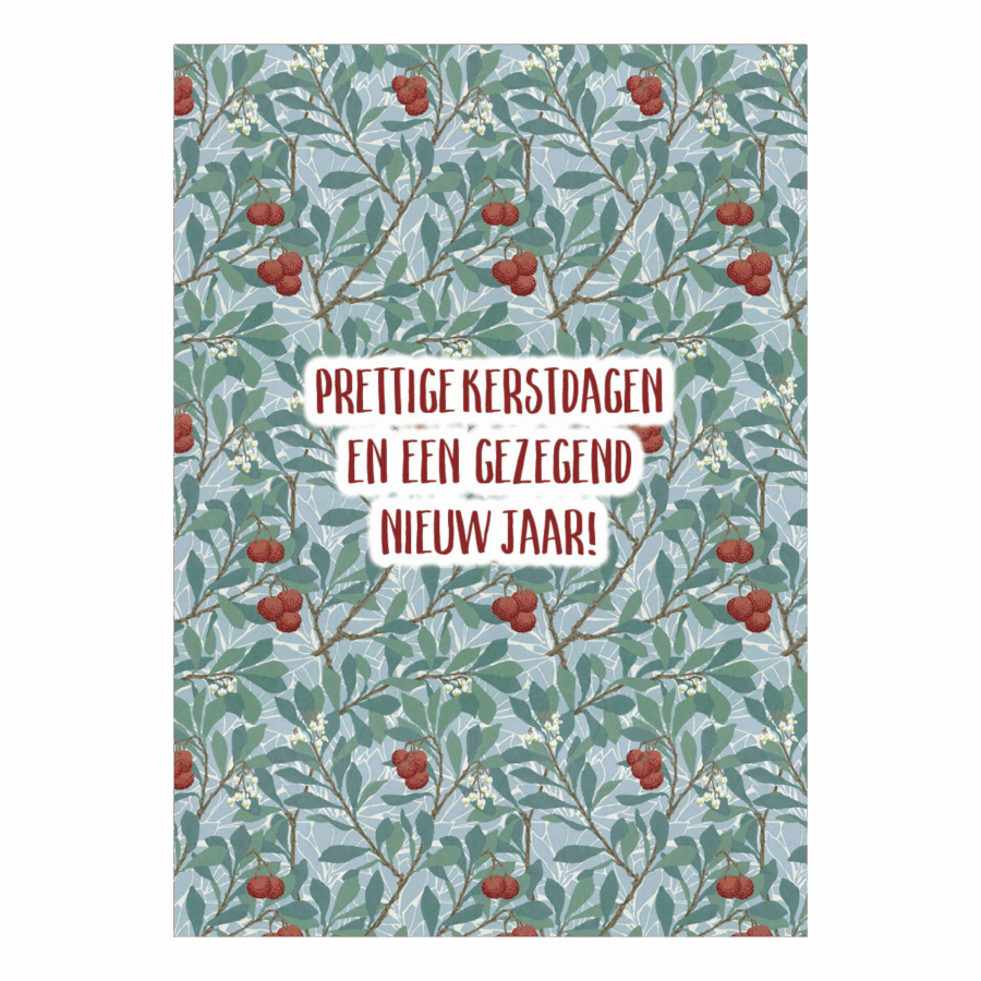 Kerstkaart 'Prettige kerstdagen - besjes dik'