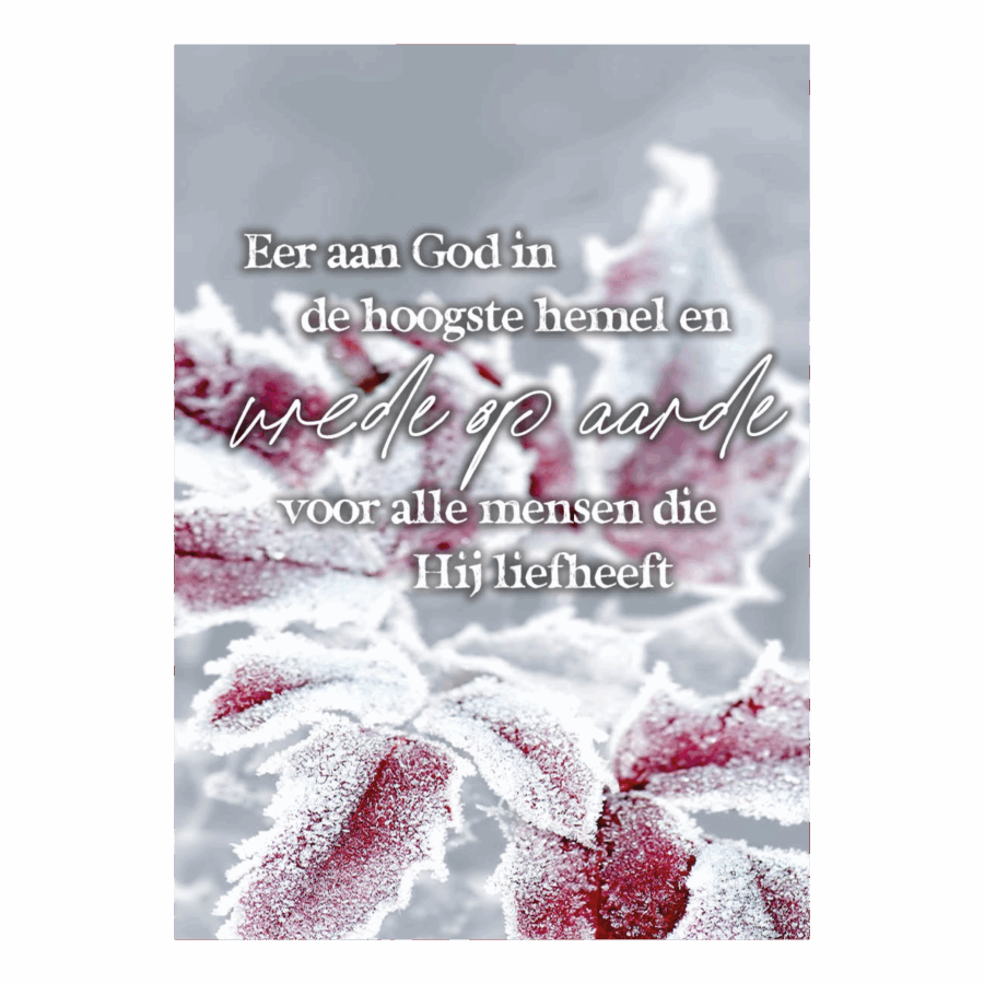 Kerstkaart 'Vrede op aarde'