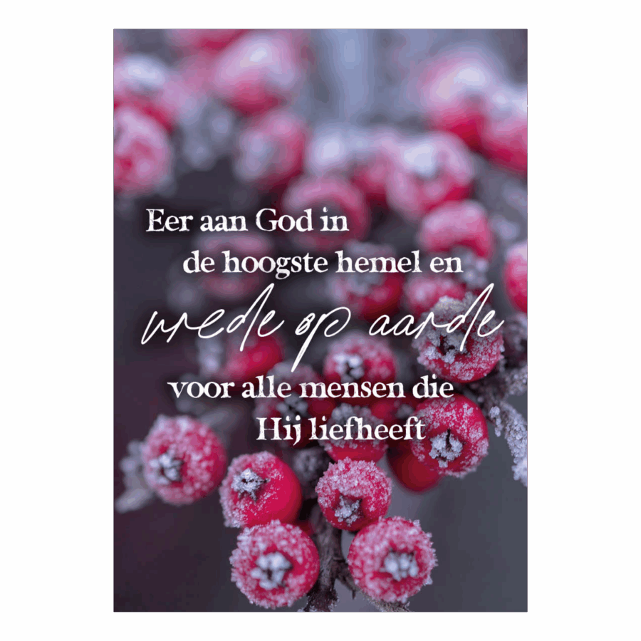 Kerstkaart 'Eer aan God, vrede op aarde'