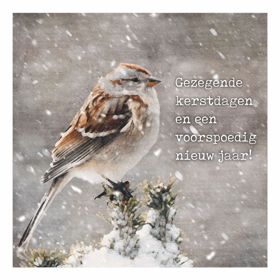 Minikaartje kerst 'mus in sneeuw'