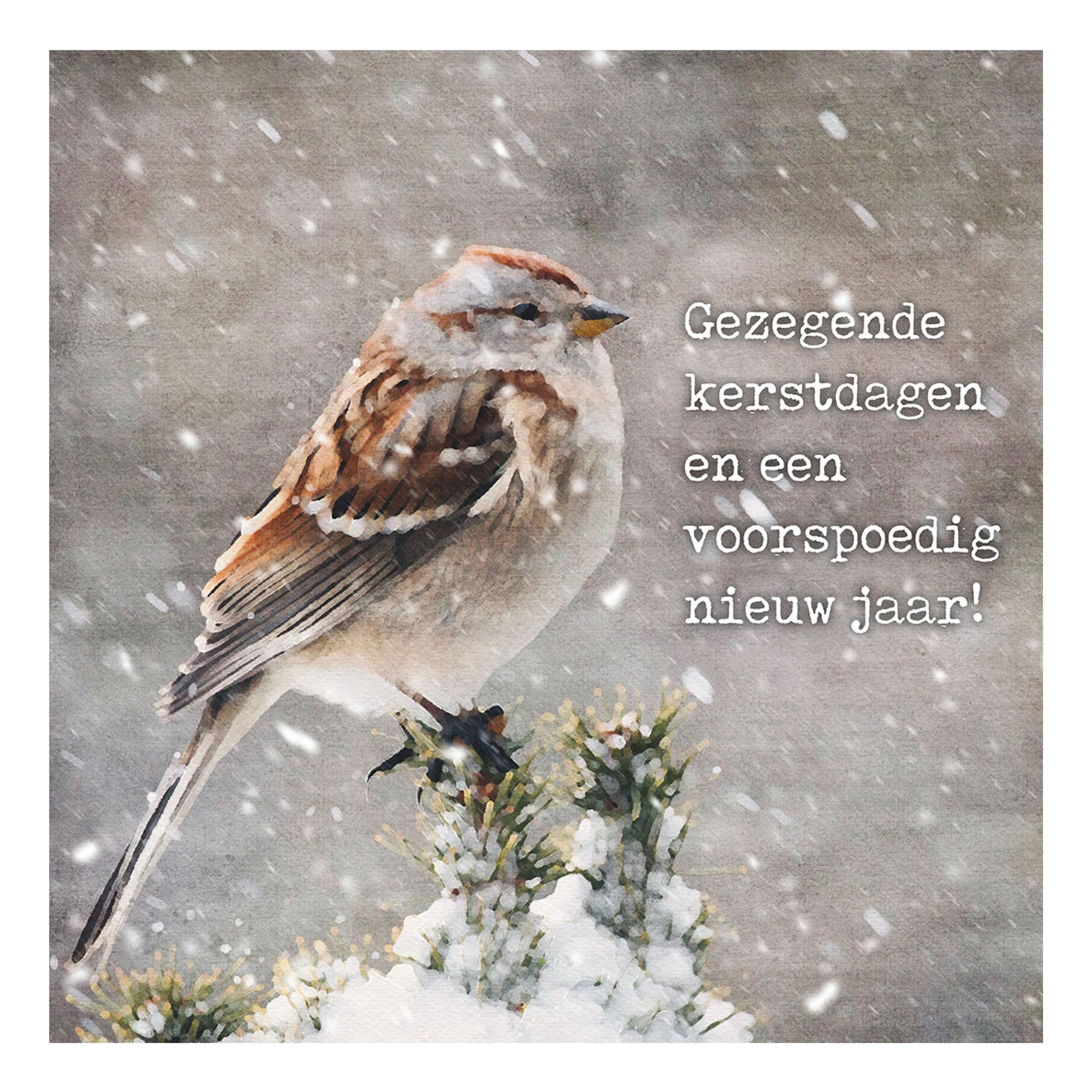 Minikaartje kerst 'mus in sneeuw'