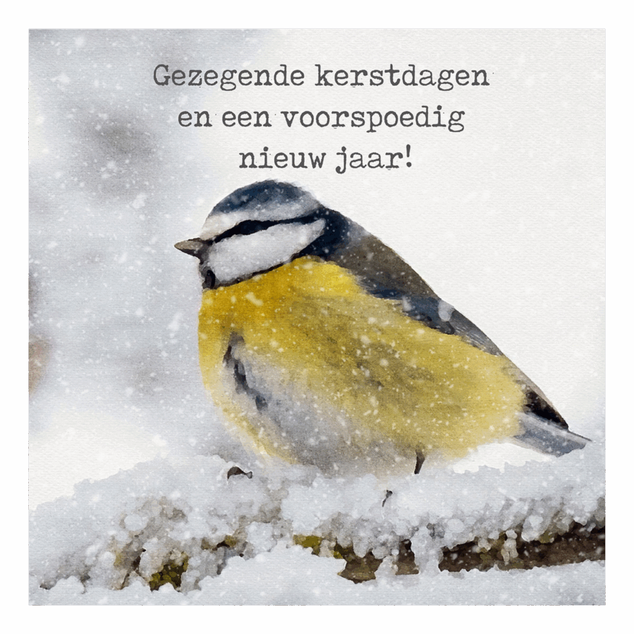 Minikaartje kerst 'pimpelmees'