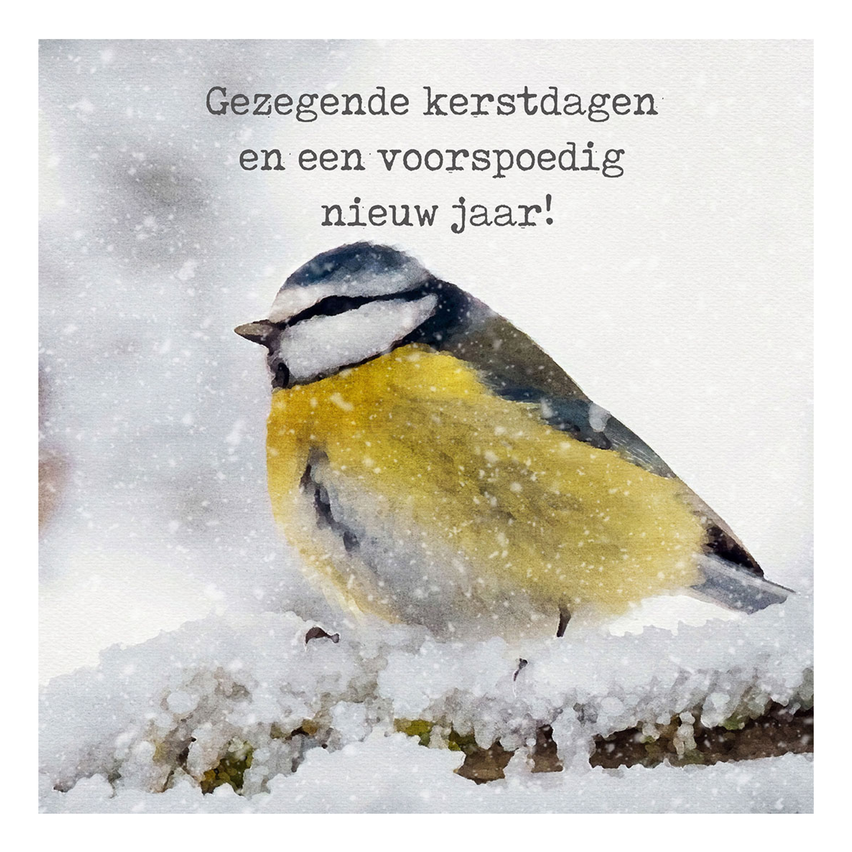 Minikaartje kerst 'pimpelmees'