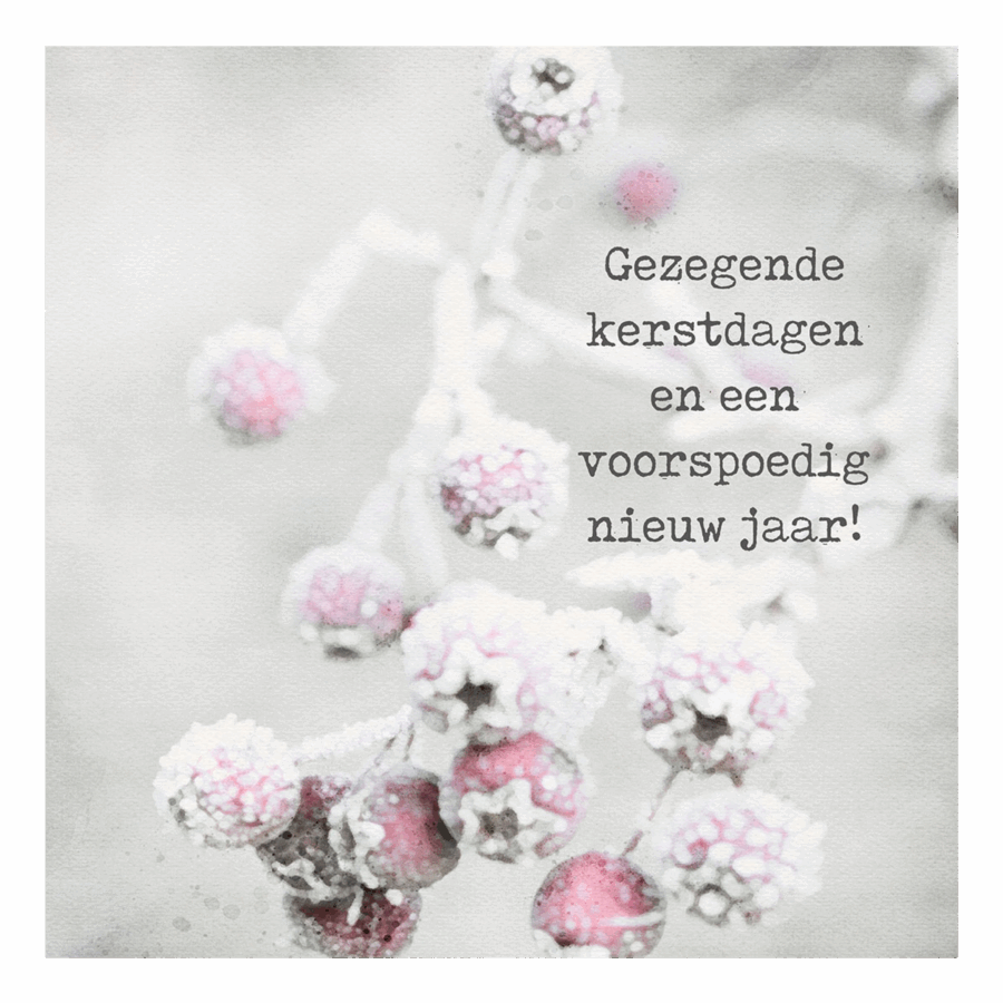 Minikaartje kerst 'besneeuwde besjes'