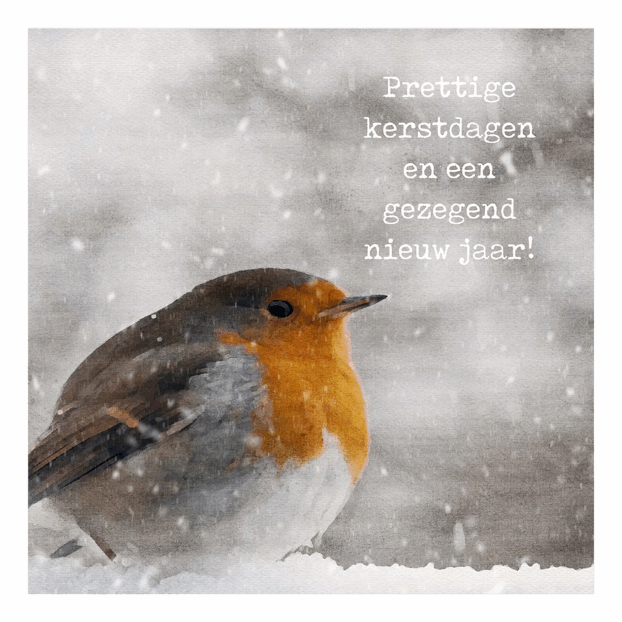 Minikaartje kerst 'roodborstje'