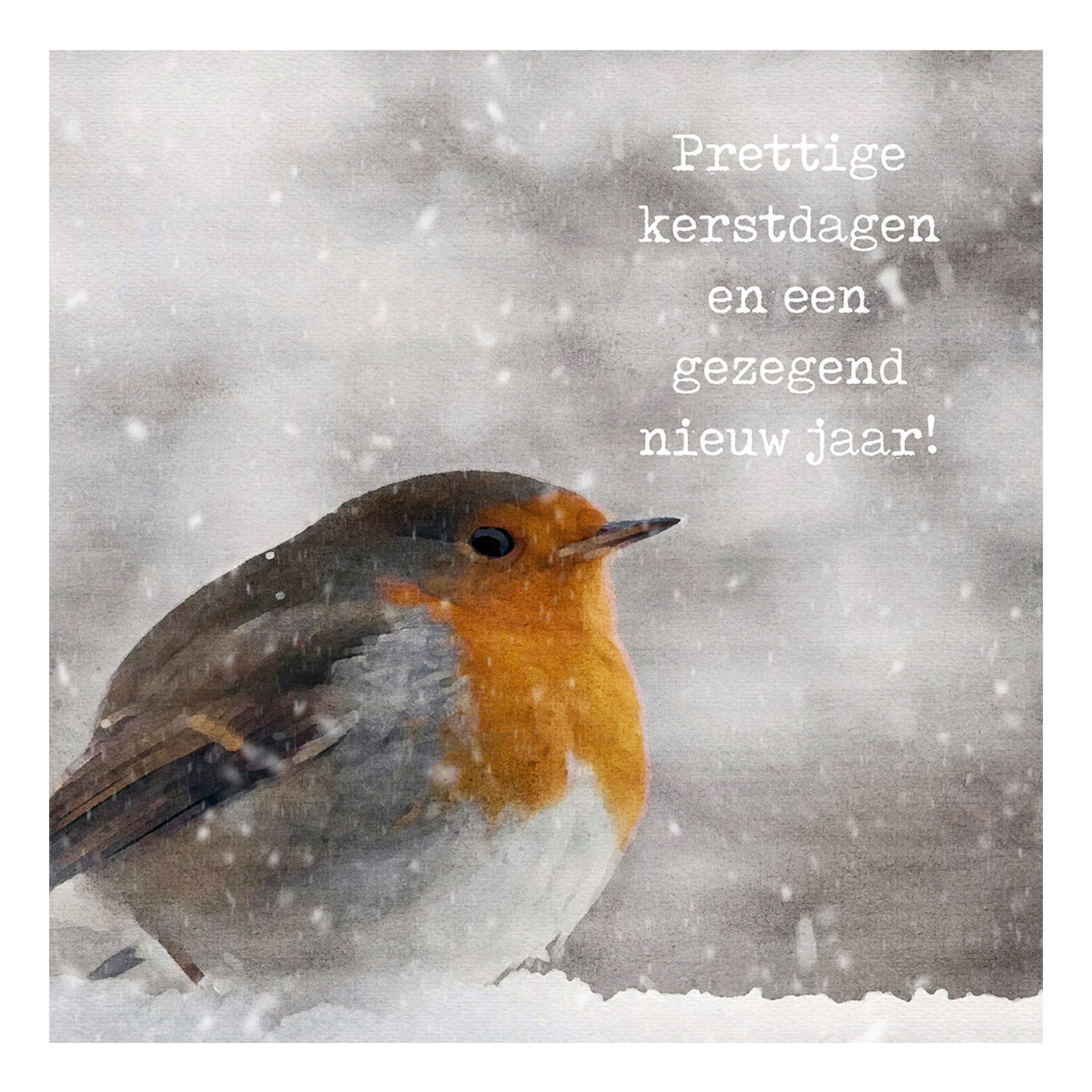 Minikaartje kerst 'roodborstje'