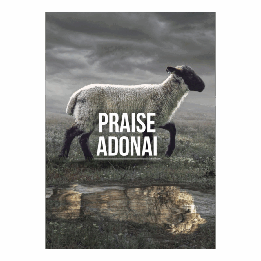 Poster 'Praise Adonai'