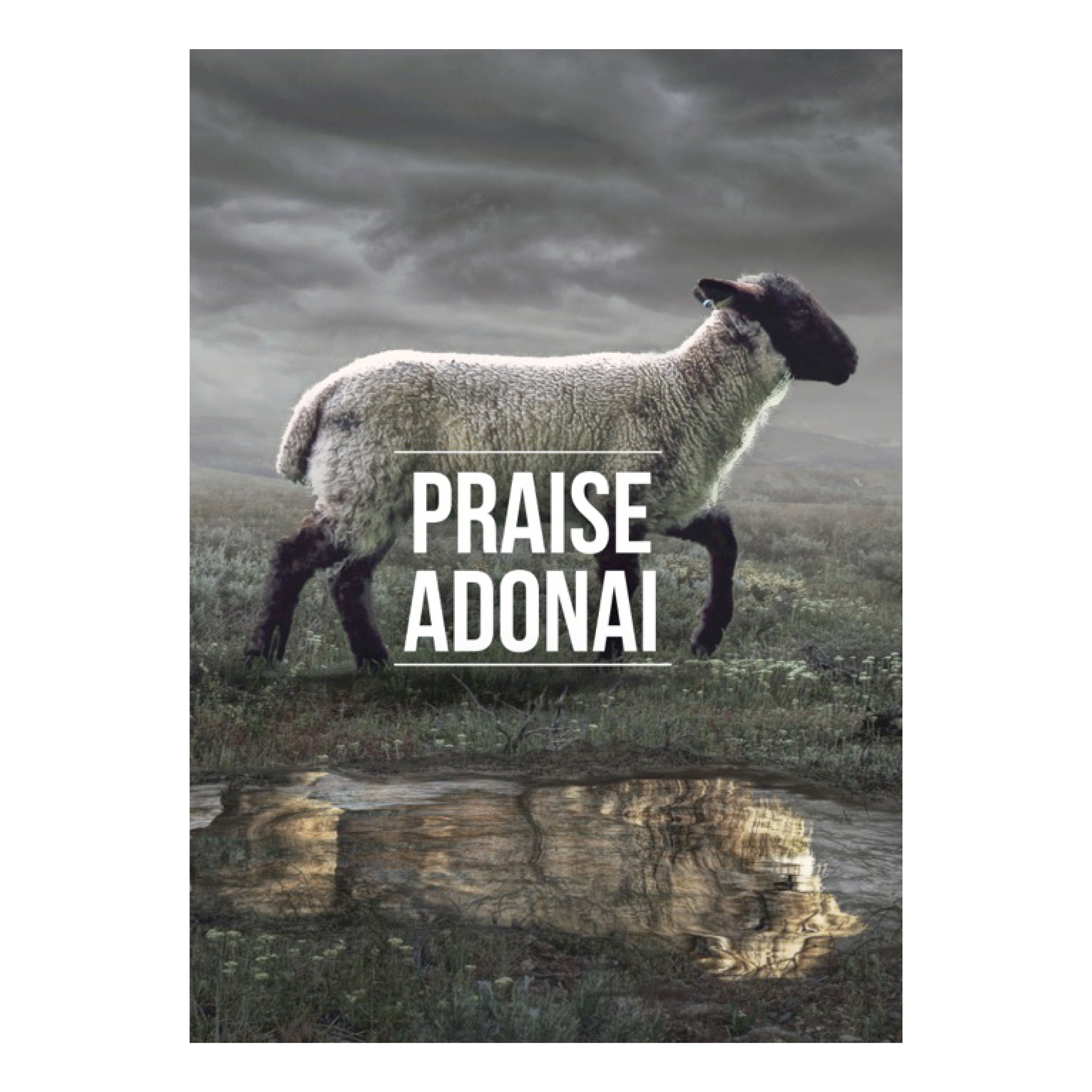 Poster 'Praise Adonai'