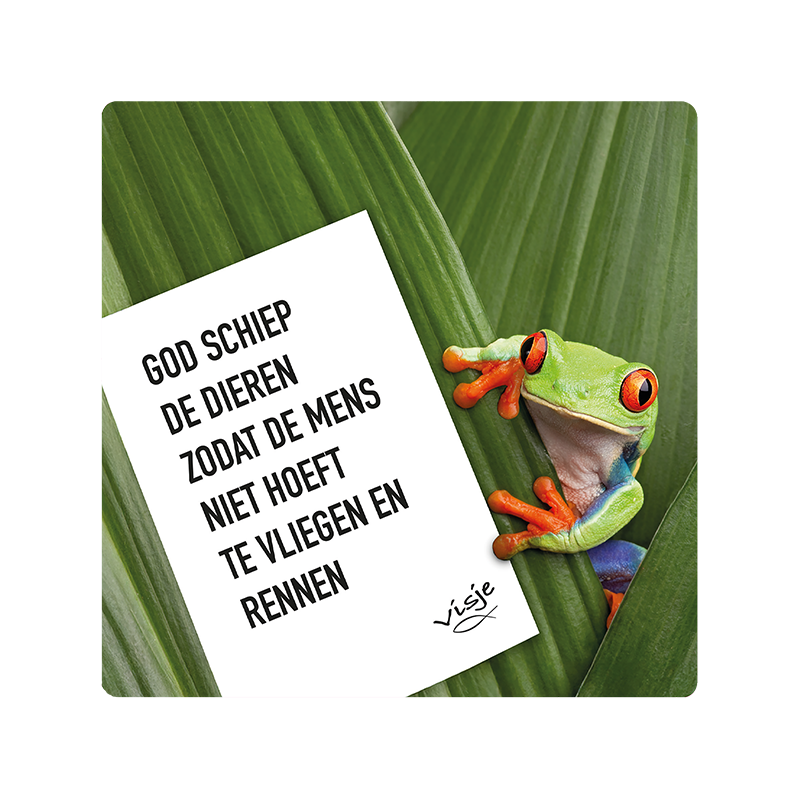 Visje bordje 'Vliegen rennen'
