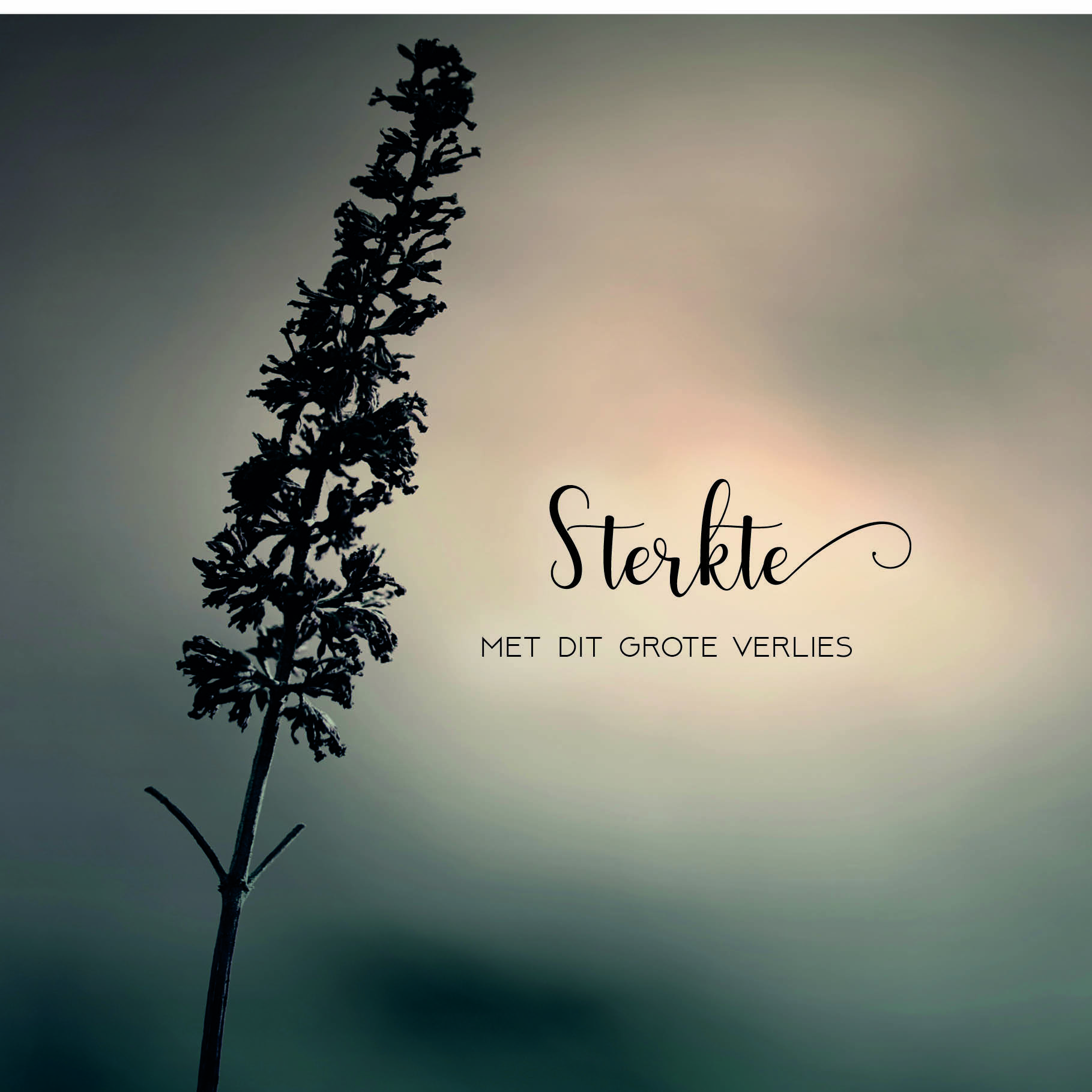 Stille momenten